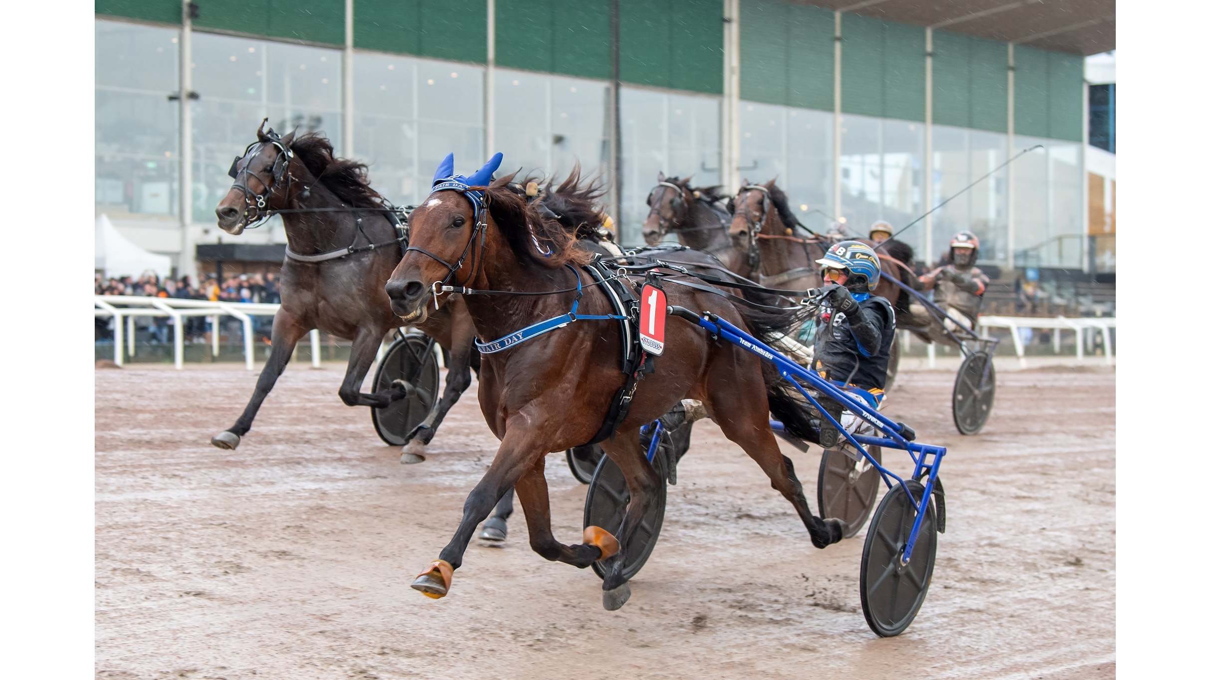 A Fair Day s'offre Francesco Zet et devient le 1er vainqueur du V85