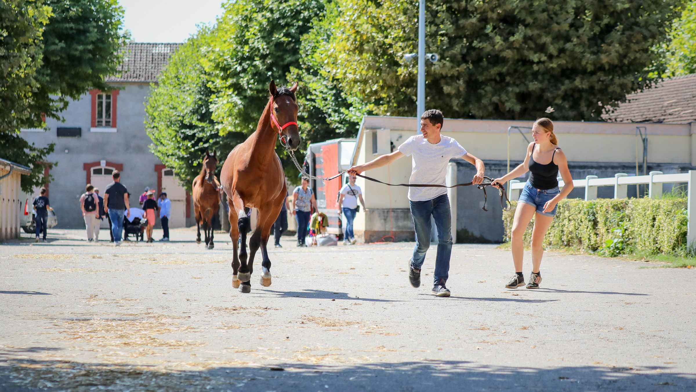 Depuis l'an dernier, l'AETCE a fait son retour à Vichy pour sa vente - © P. Lefaucheux/P