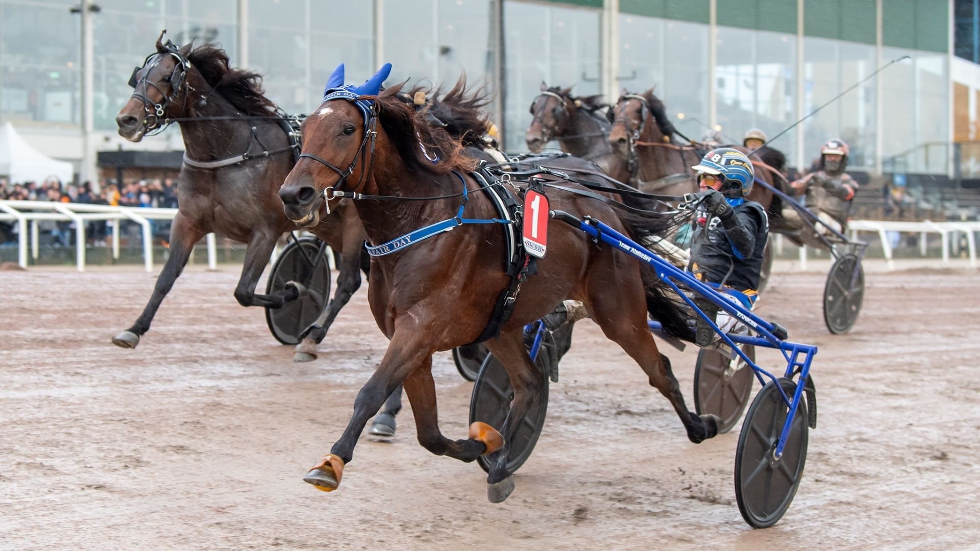 A Fair Day lors de sa victoire l'an dernier - © Facebook Jägersro