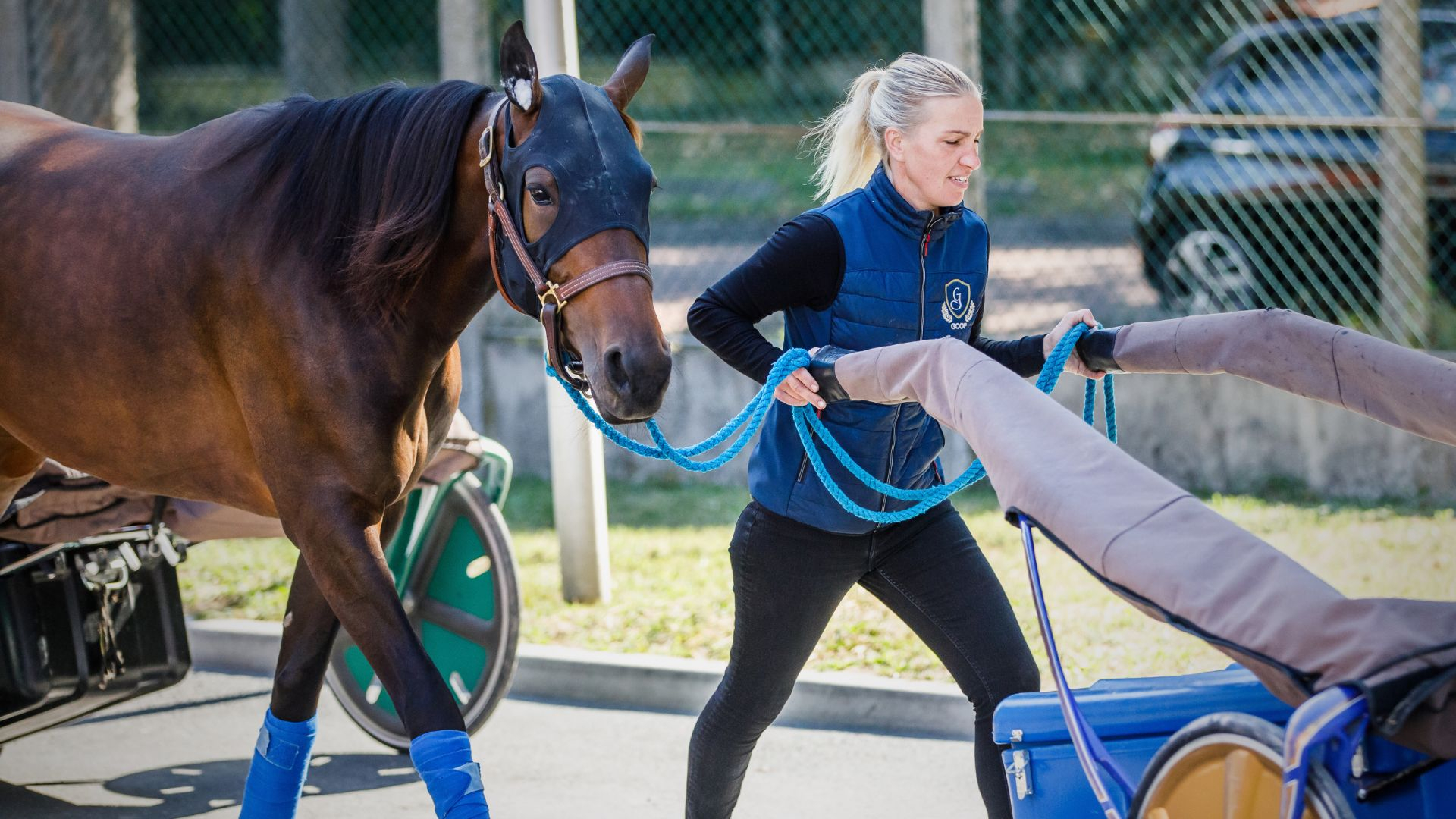 © B. Vandevelde/SETF