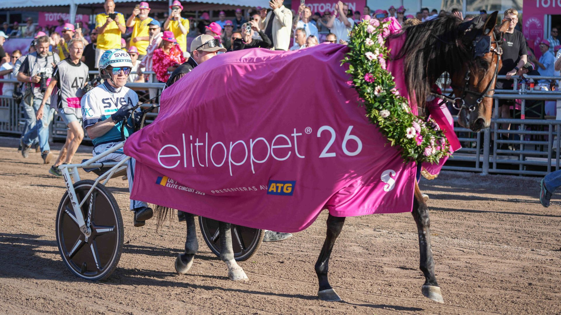 Allegiant lors de son sacre dans l'Elitloppet - © ScoopDyga