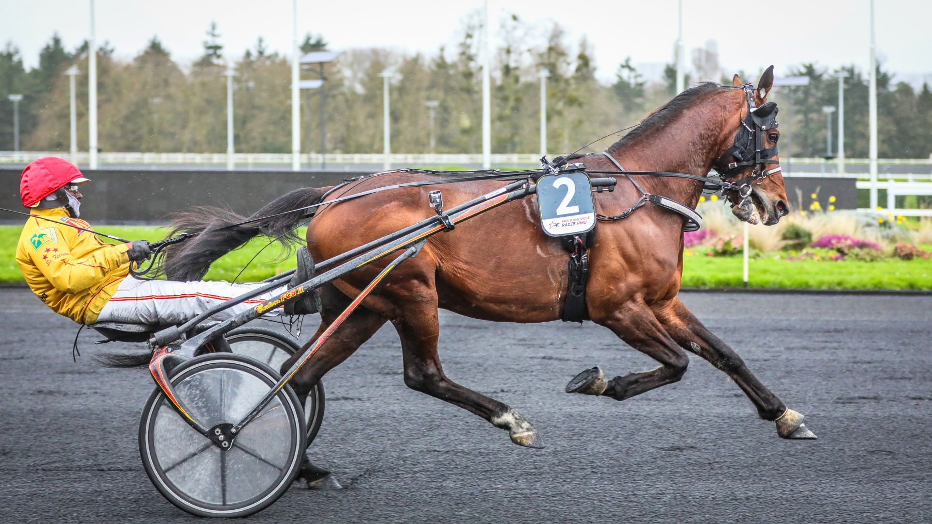 Always Ek - © Bruno Vandevelde/SETF