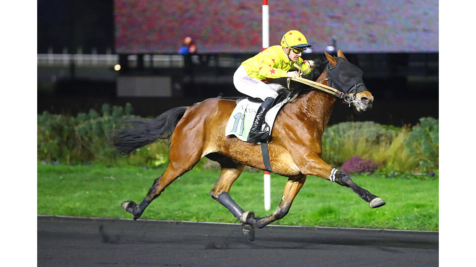 Lara du Lerre, soeur de Nefertiti du Lerre - ©Aprh