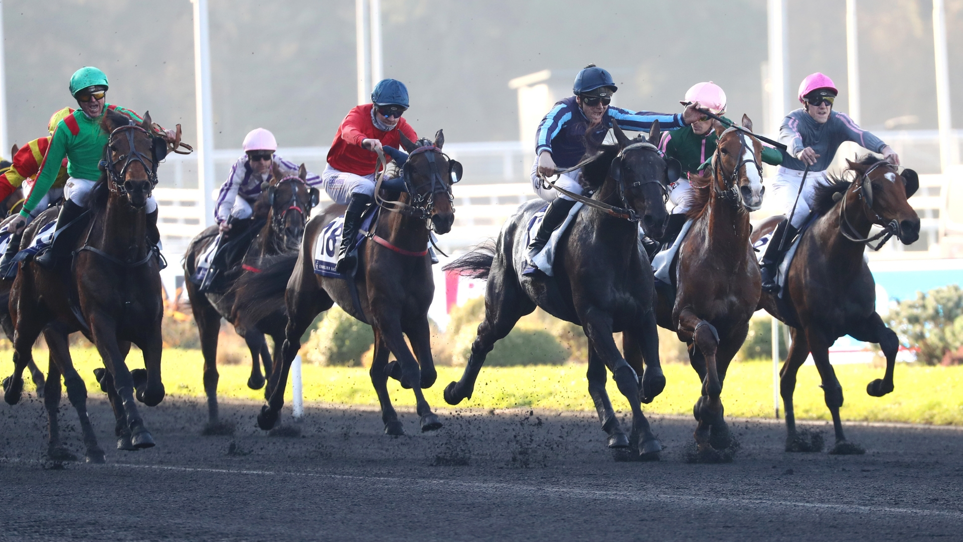 Les protagonistes du Prix de Cornulier seront en échec dans la revanche - © Aprh