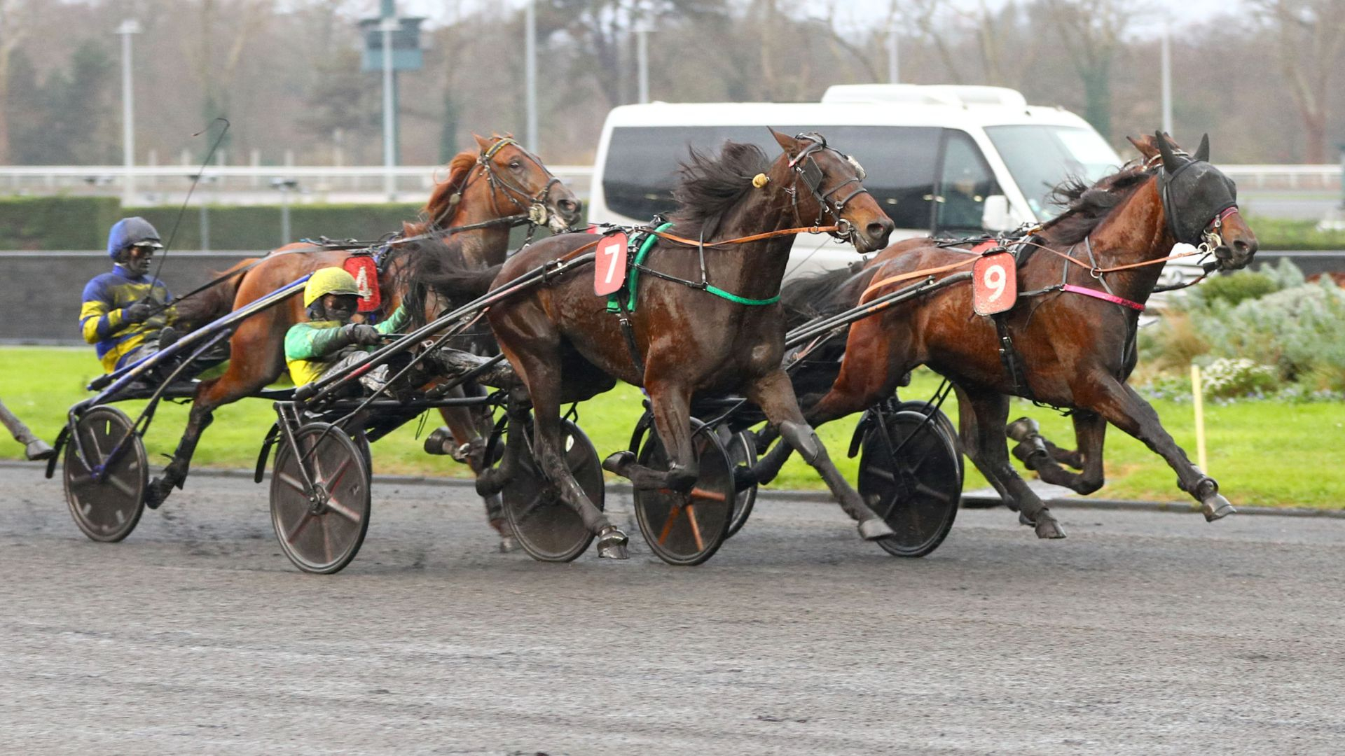 L'arrivée du Prix Ready Cash 2024 - ©Aprh