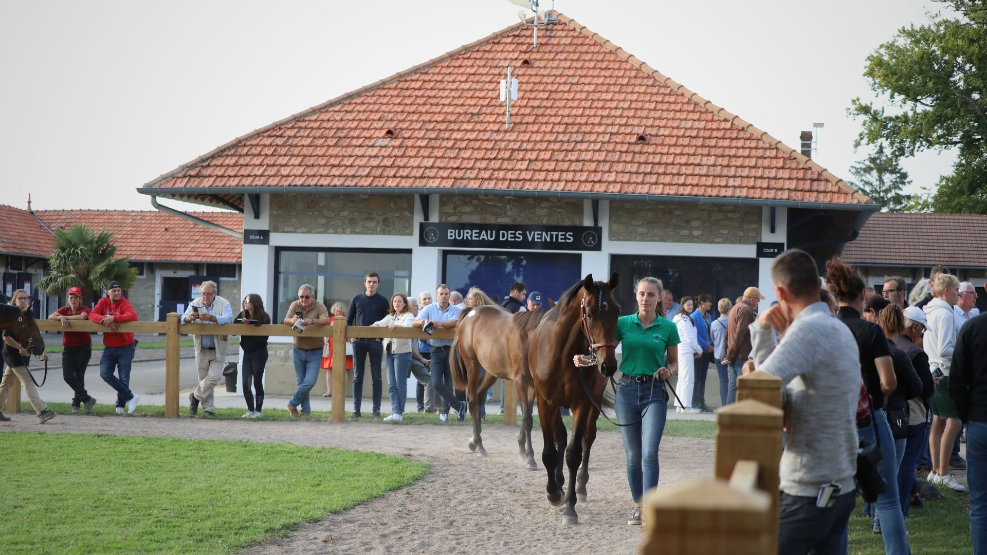 ventes rouges terres