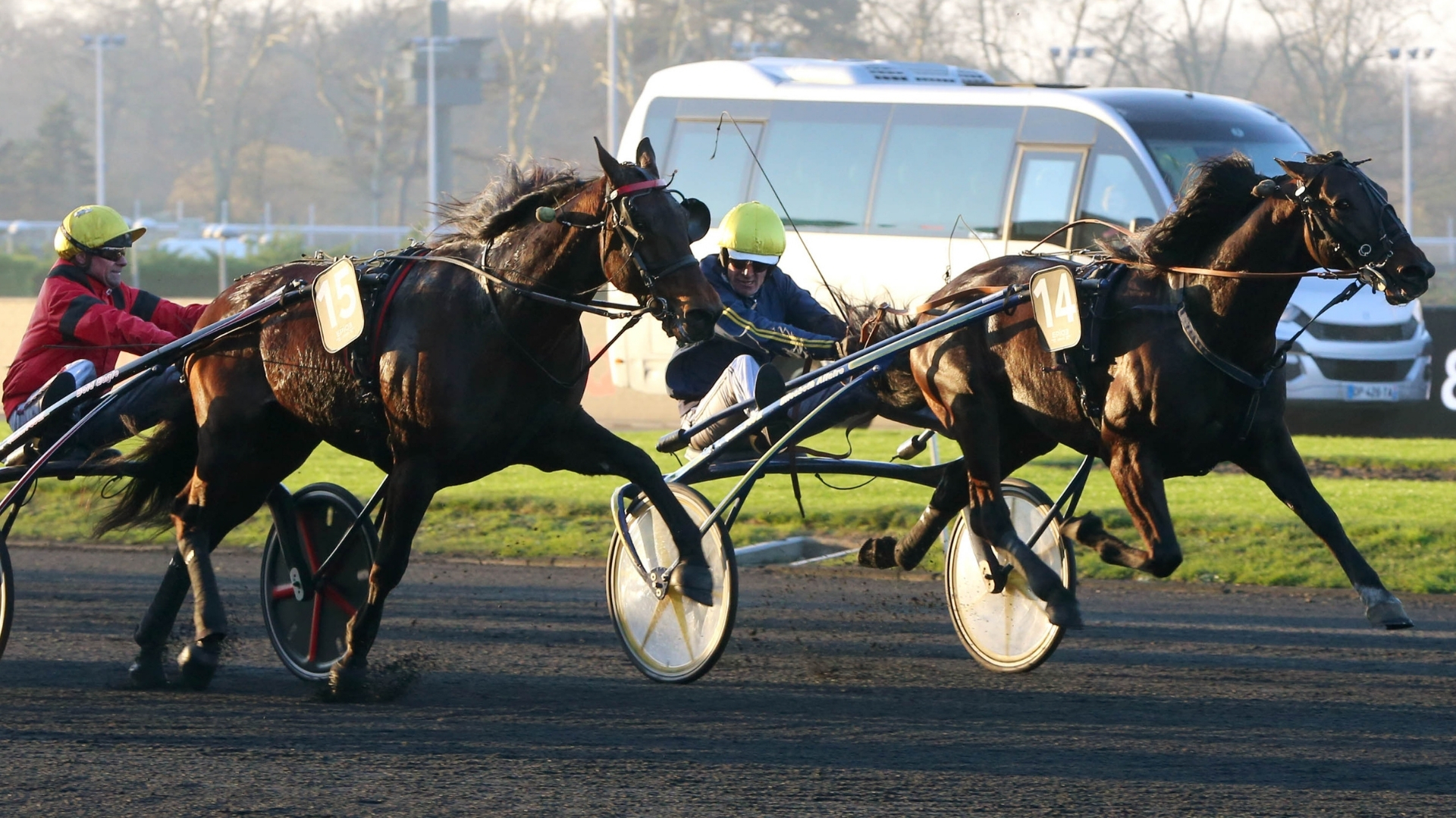 Bird Parker - Bold Eagle