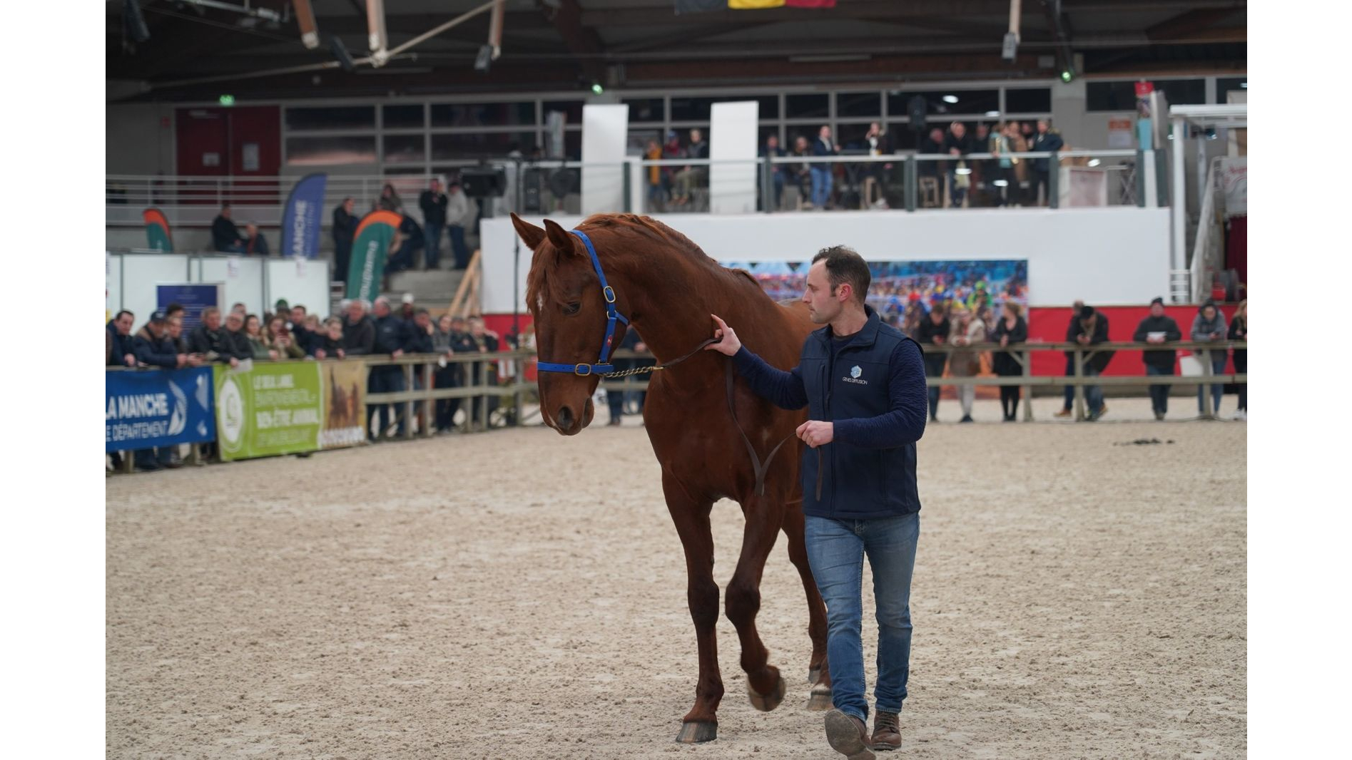 Boccador de Simm, ici au Salon de Saint-Lô - ©ProvinceCourses
