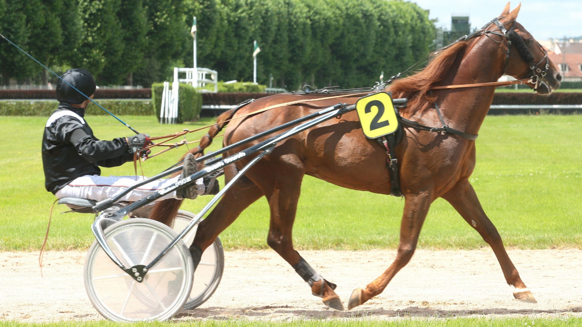 Booster Winner - ©Scoopdyga