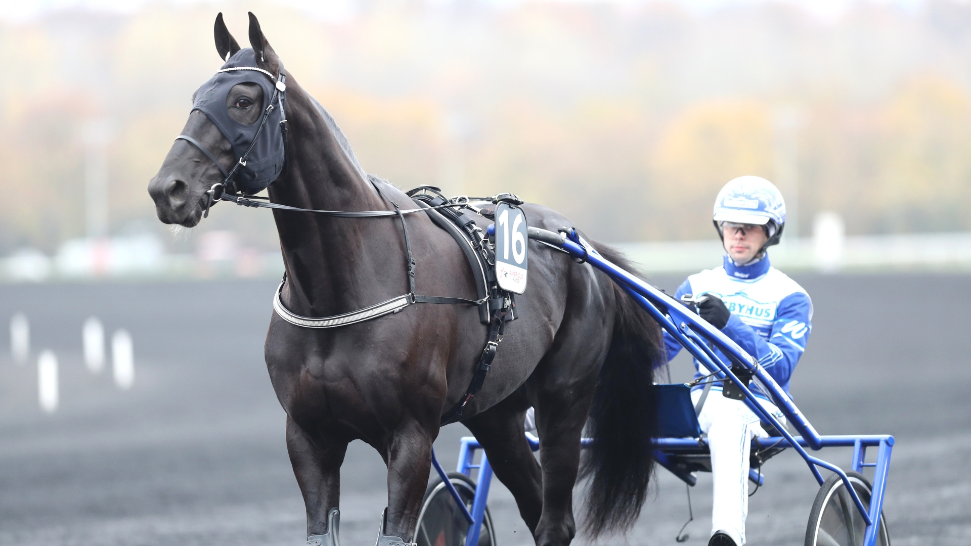 Borups Victory - © Aprh