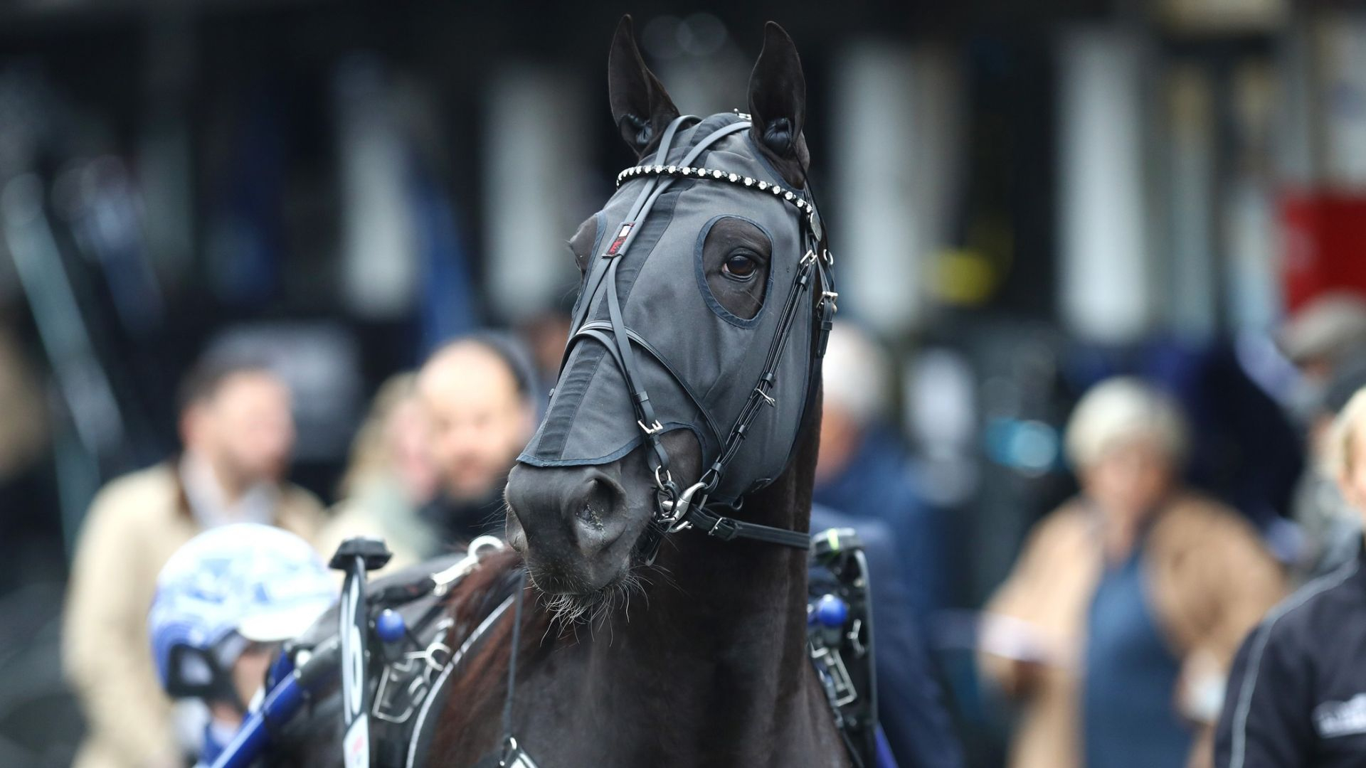 Borups Victory a une revanche sur le sort à prendre cet hiver - © Aprh