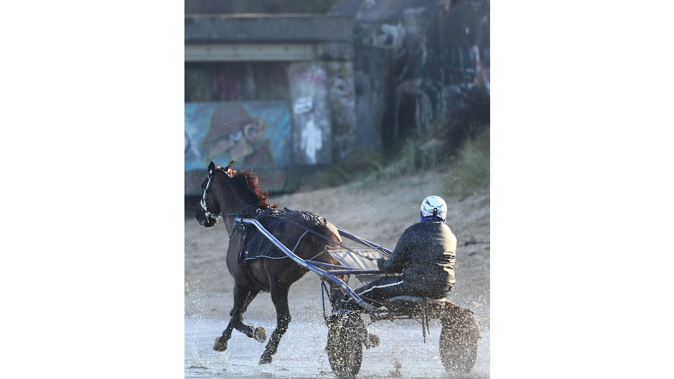 Justin Bold - ©APRH