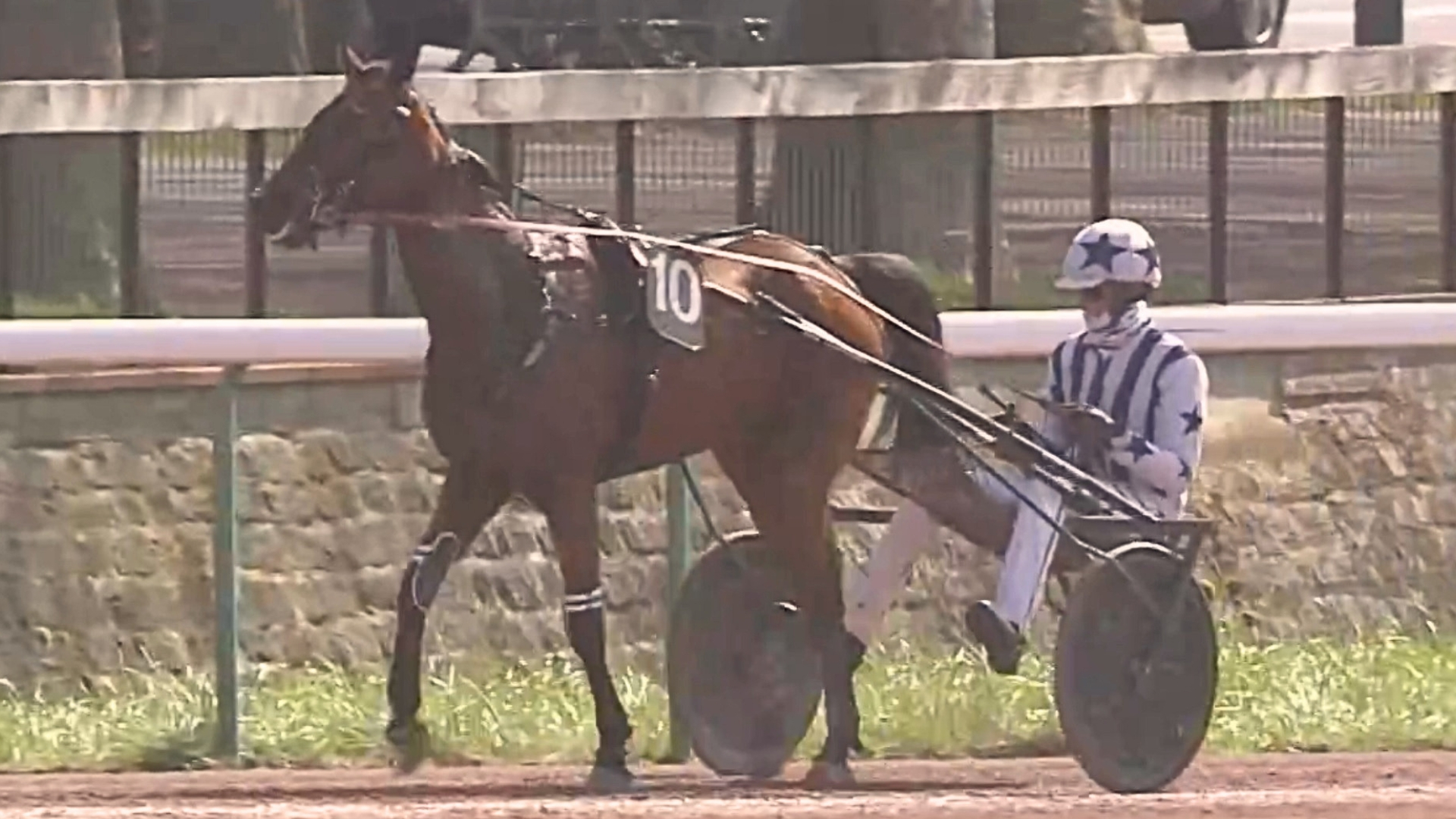 Naya d'Eronville après son succès du jour - © Equidia