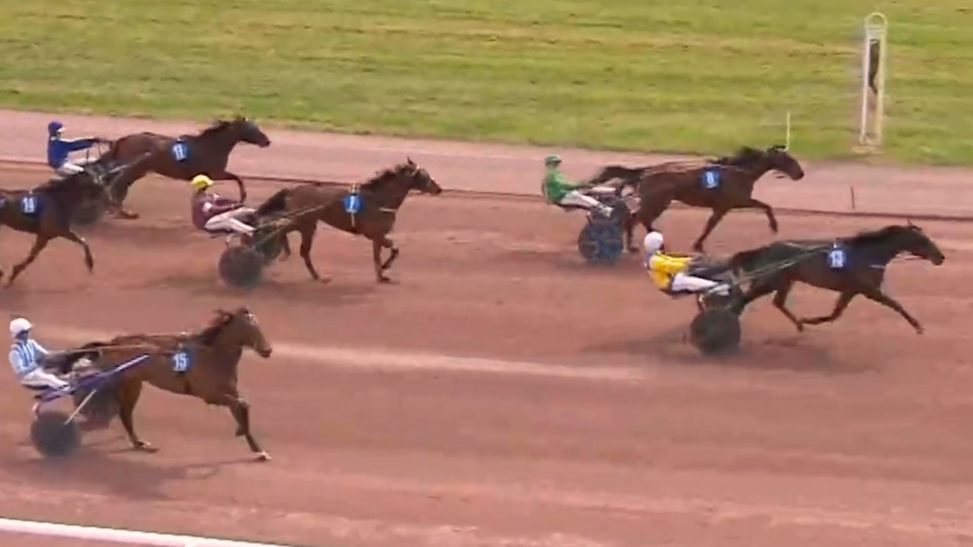 Xerava C.D. résiste à Redull Pellini - © Equidia