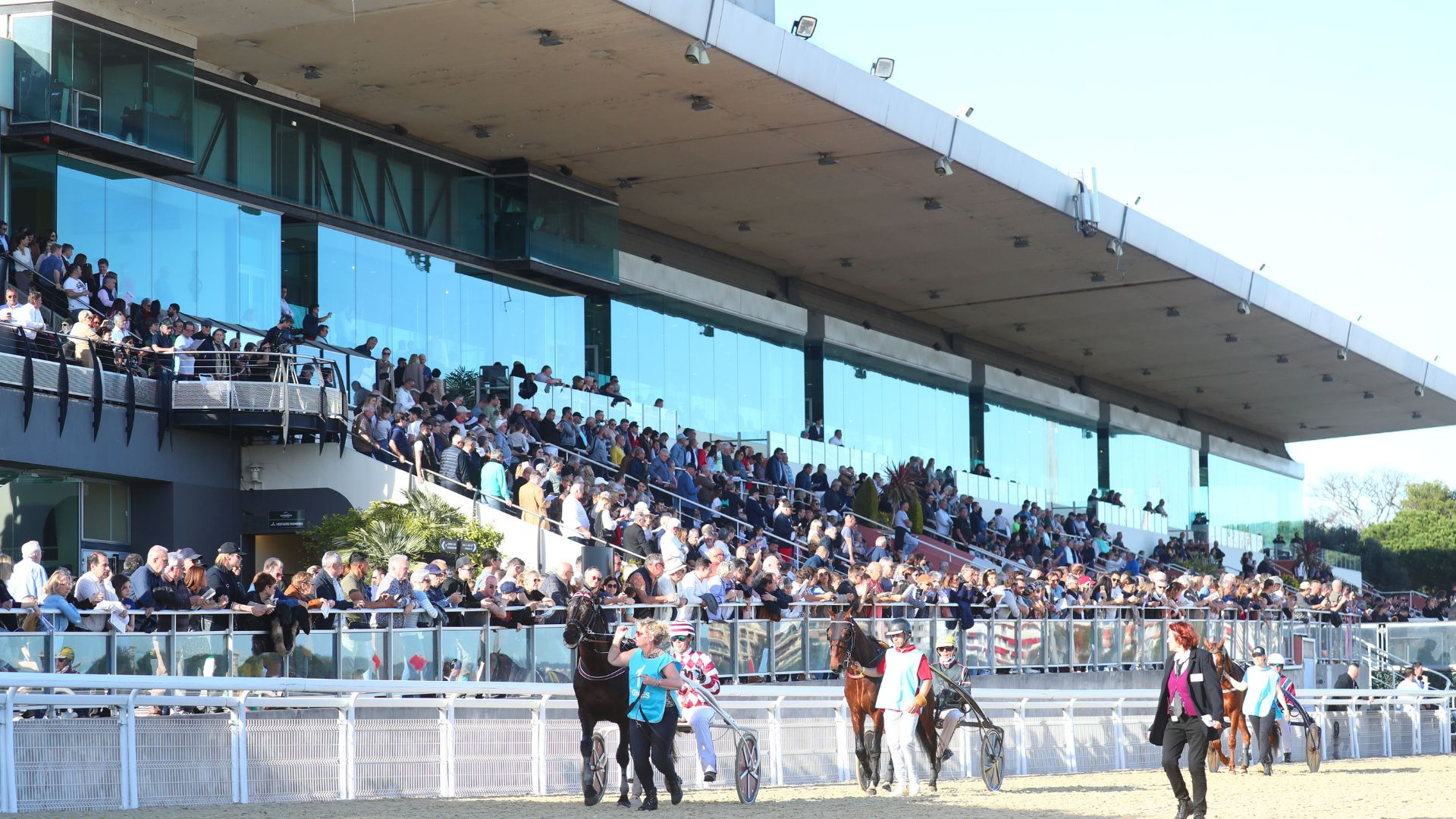 Cagnes à l'affiche cette semaine - ©Scoopdyga