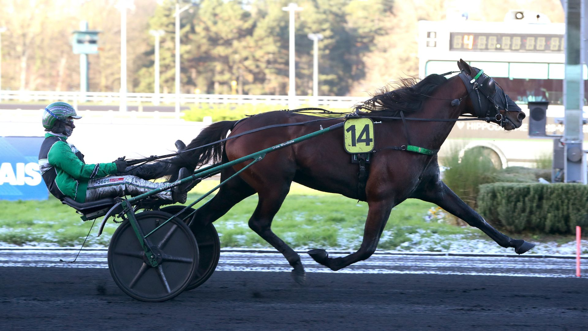 Caviar From Mine - ©Aprh