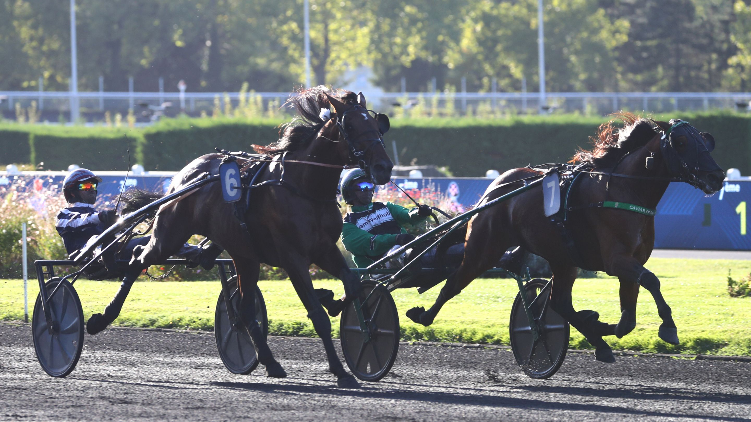 Caviar From Mine - Enock