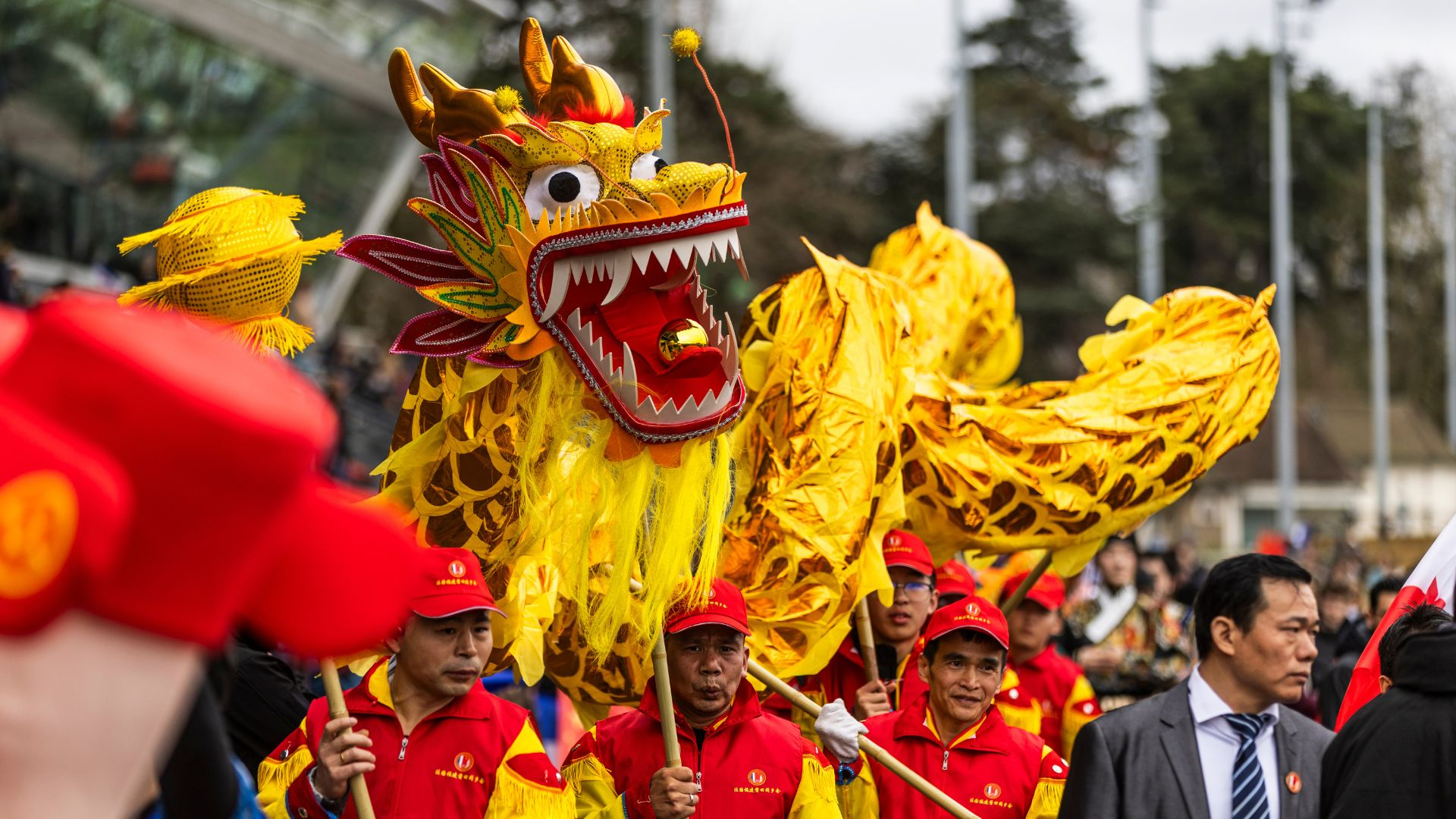 ©BrunoVandeVelde/SETF