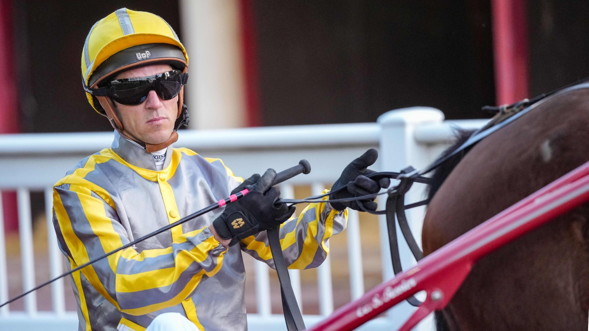 Christophe Soumillon au trot : retour à Vincennes mercredi - © ScoopDyga