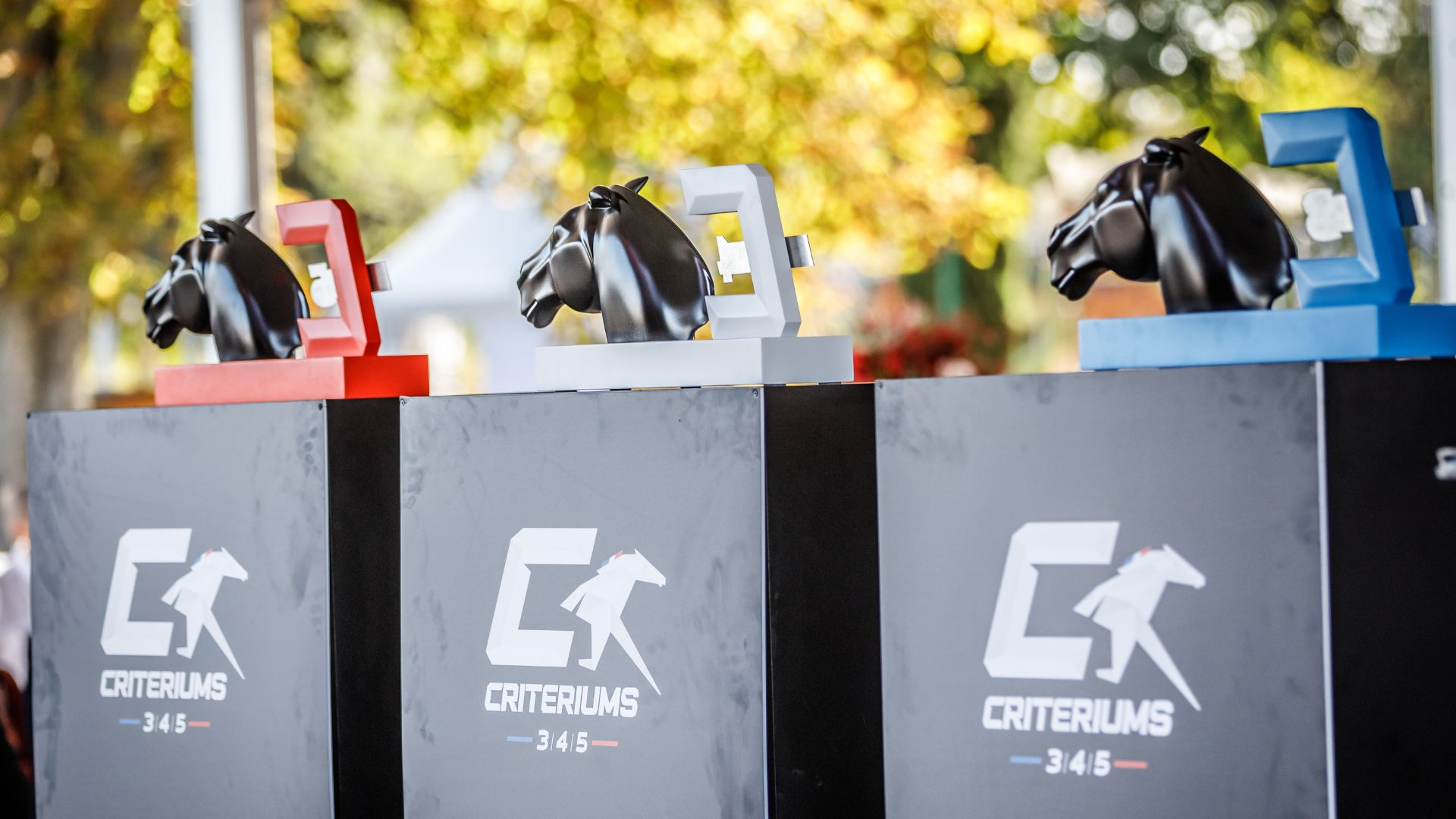 ©BrunoVandeVelde/SETF