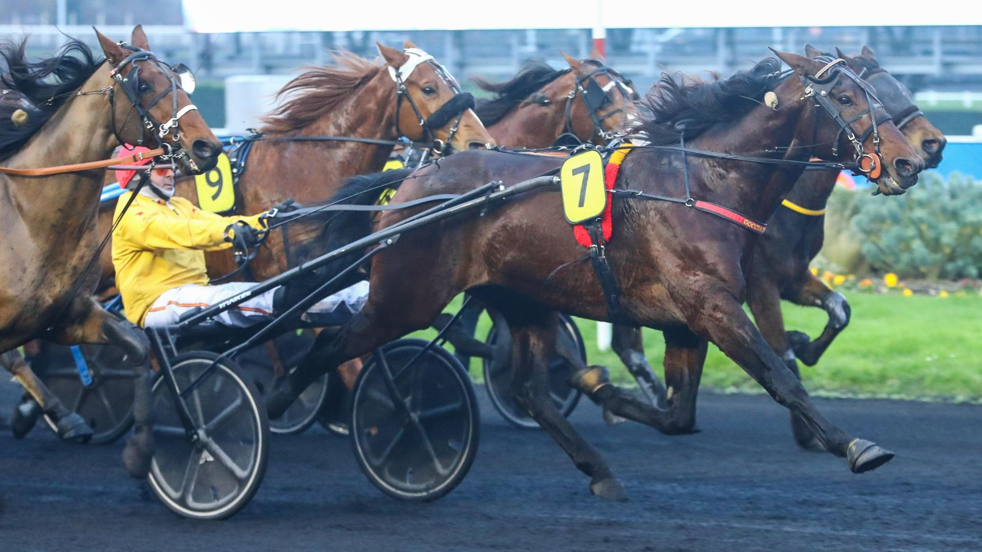 Dolce Viky - ©Scoopdyga