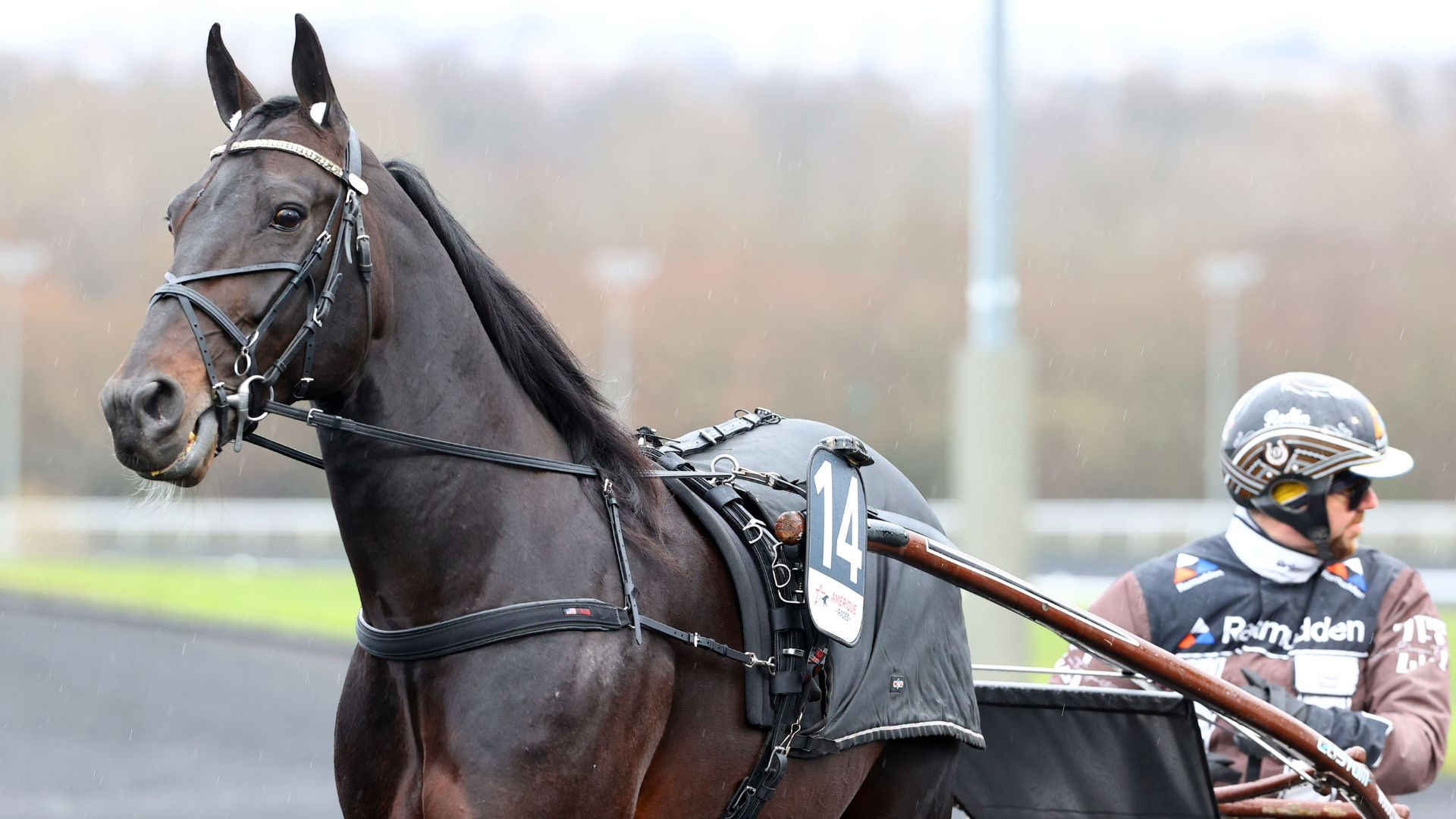 Don Fanucci Zet (ici à Vincennes) - © ScoopDyga