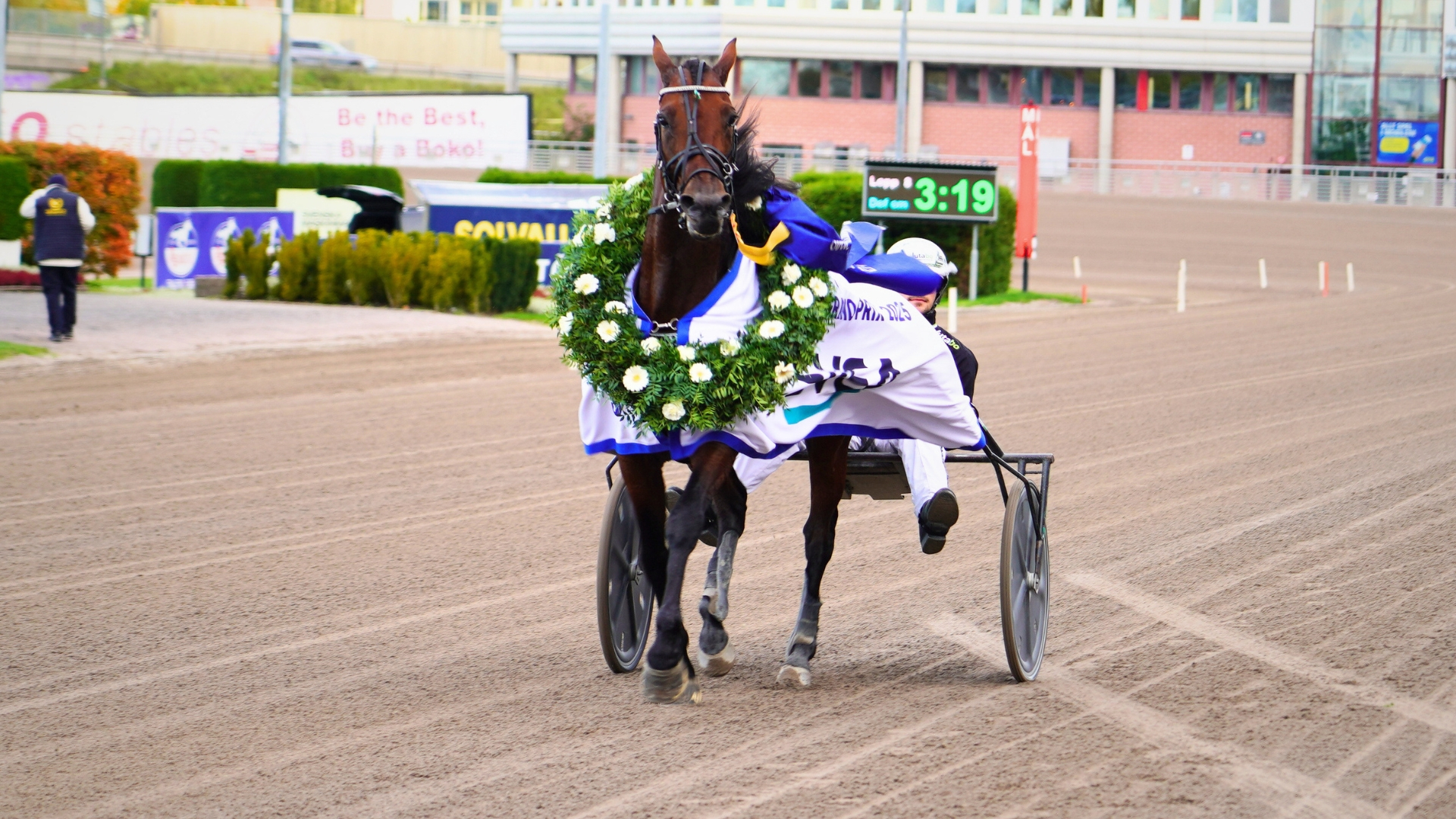 Dream Mine, petit-fils de From Above (vainqueur d'Elitloppet) - ©Province Courses