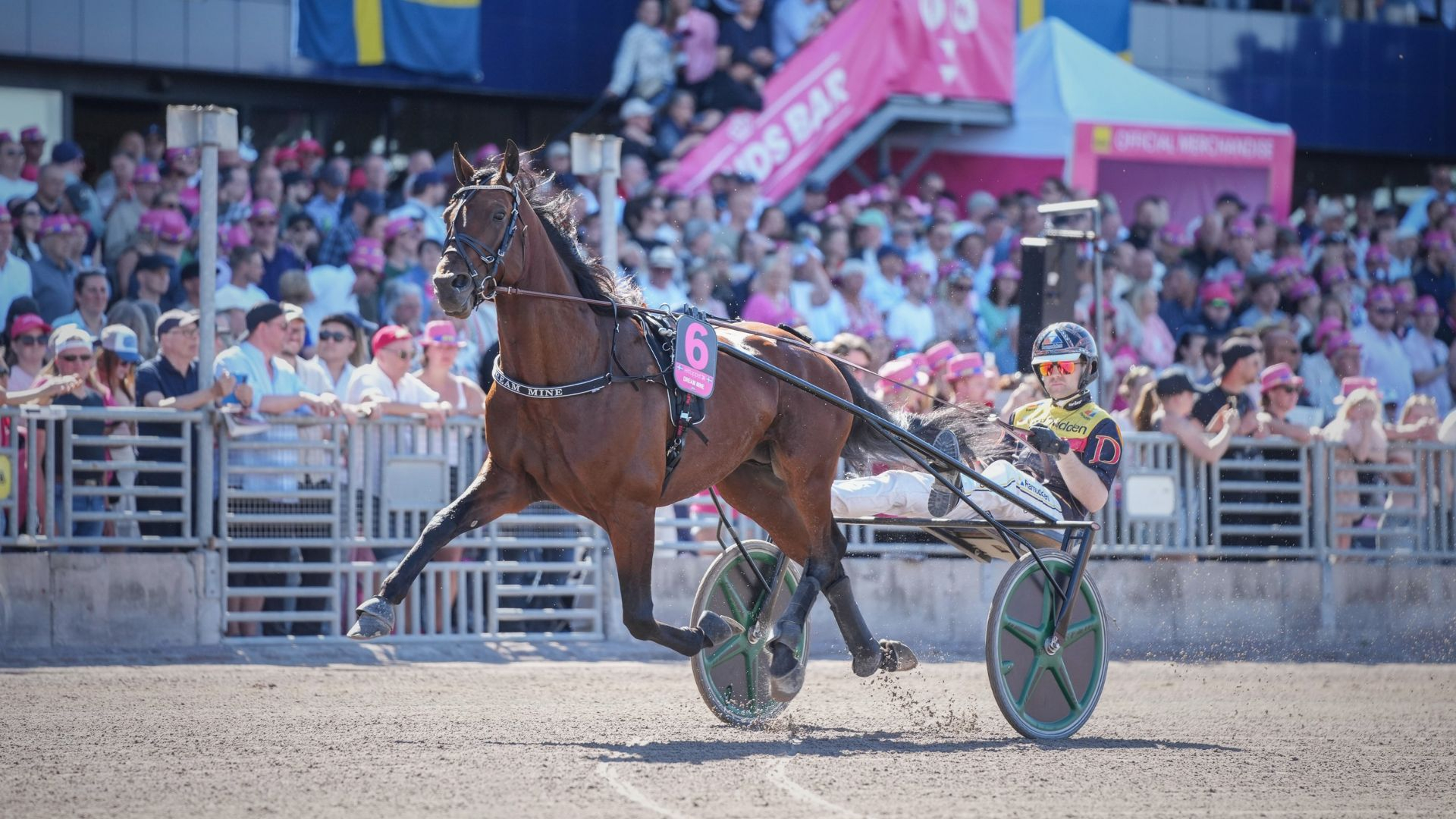 Dream Mine à Solvalla - ©&nbsp;ScoopDyga