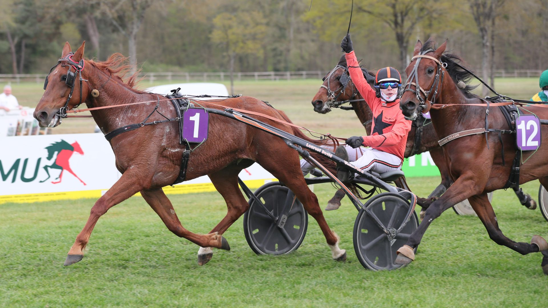 Kalypso Dream - ©JChBriens