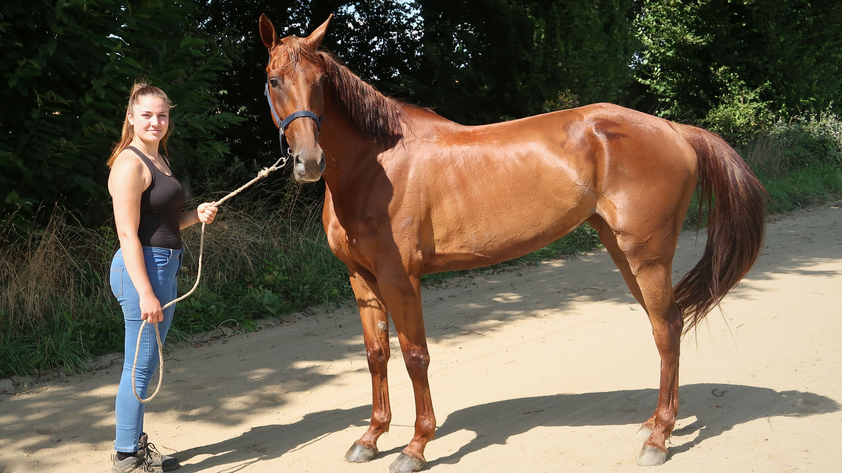Élise Privat avec Kalinka de Sée - © Province Courses