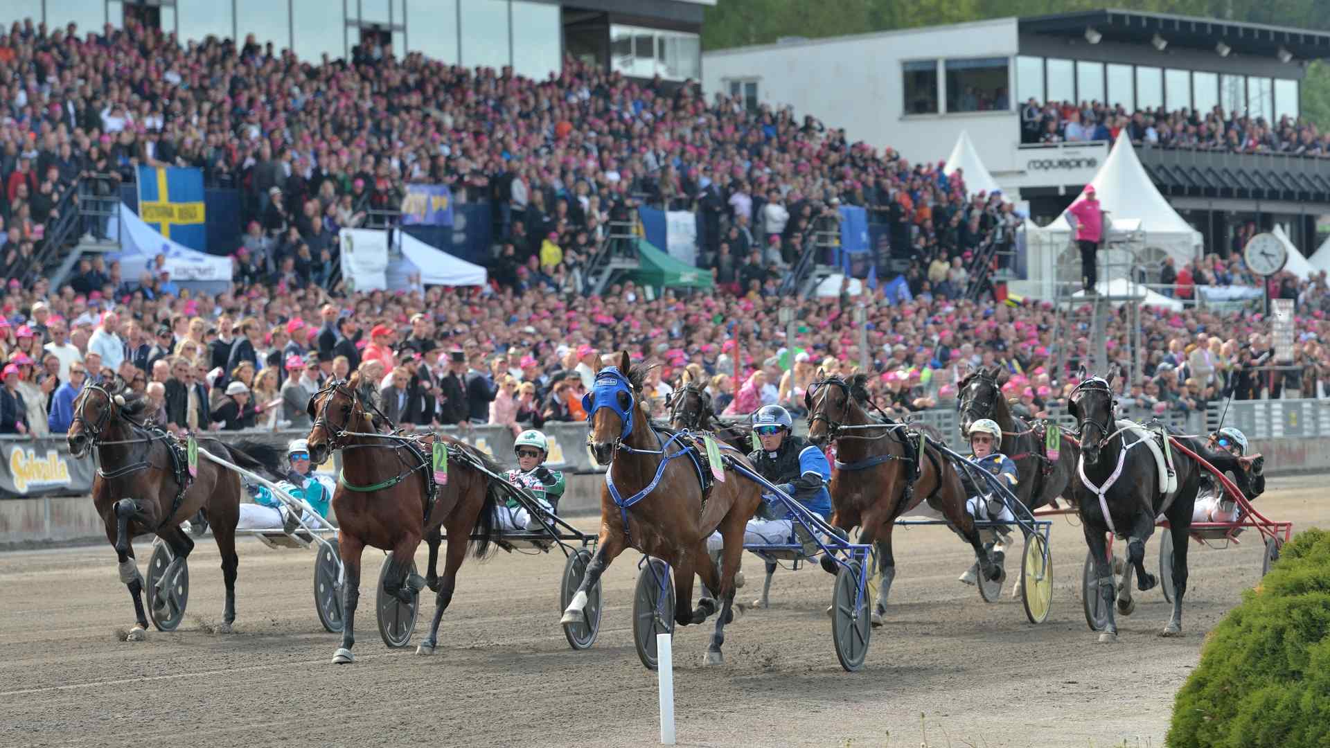 ©SETF - J.-L. Lamaere - L'Elitloppet 2016
