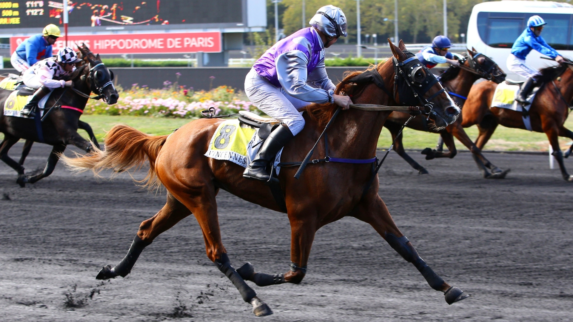 La classique Elladora de Forgan en vente le 21 janvier - © Aprh