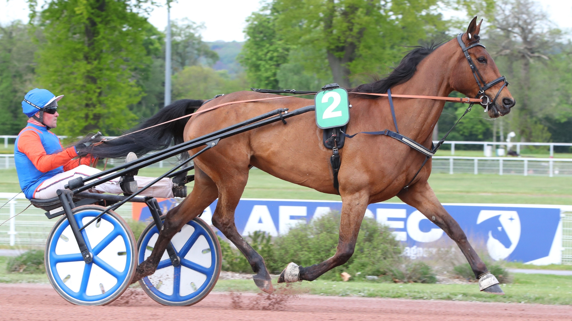Emeraude de Bais - © Aprh