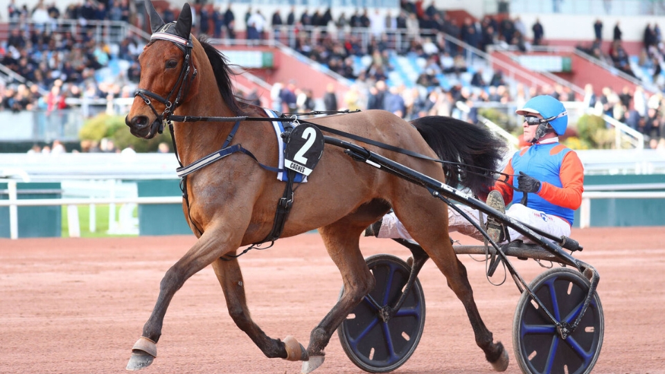 Emeraude de Bais à Cagnes-sur-Mer - © ScoopDyga