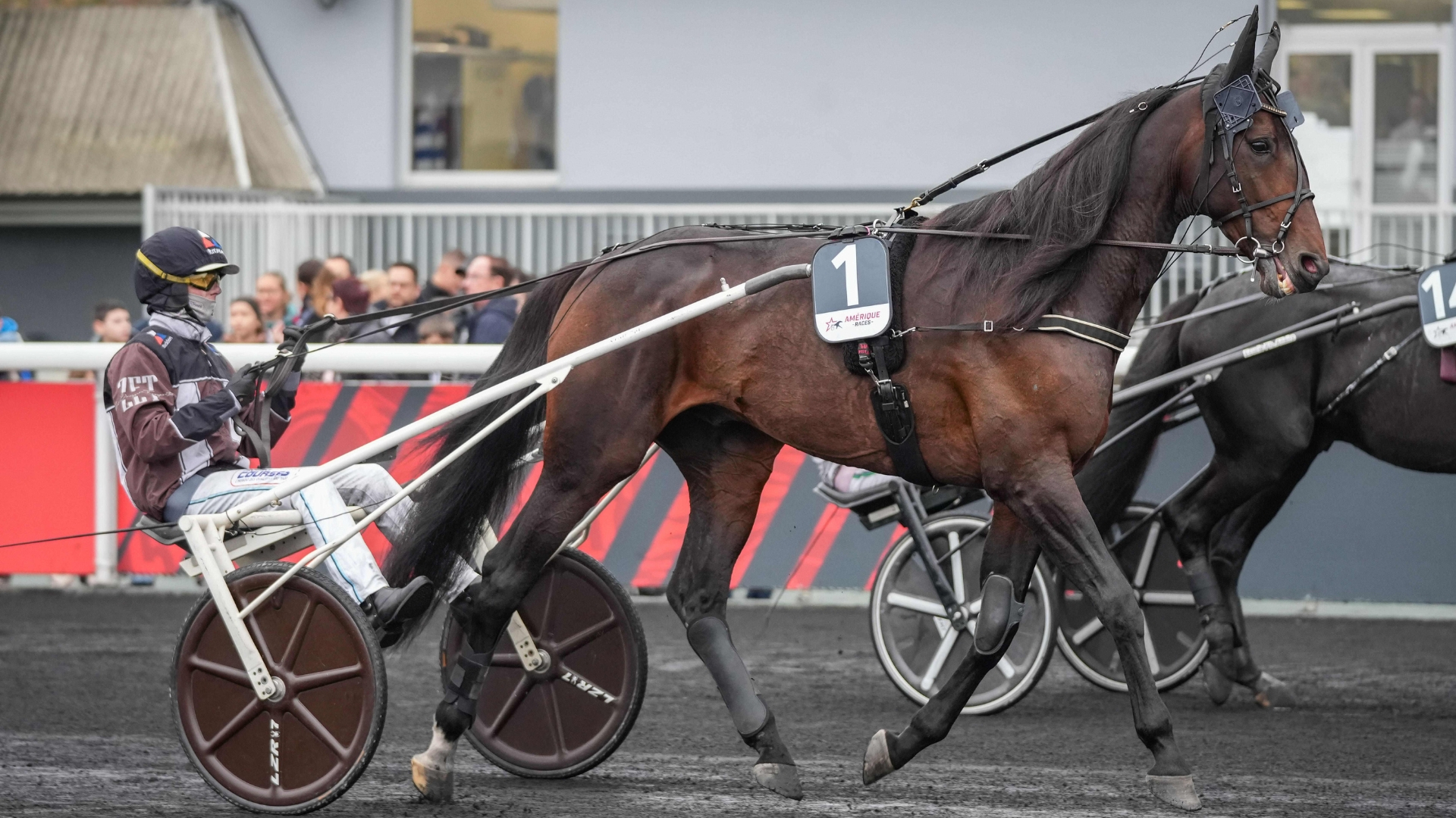 Le suédois Epic Kronos toujours dans les restants engagés - © ScoopDyga