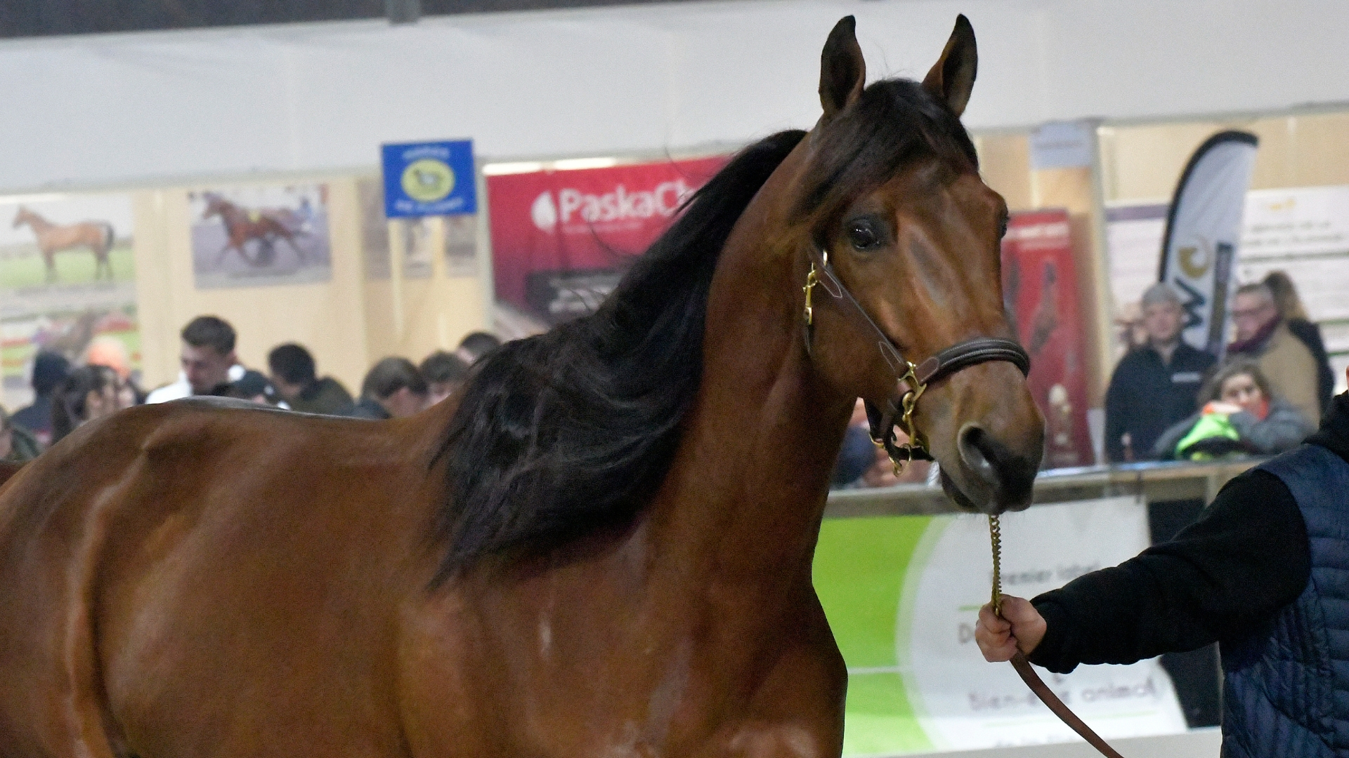 © Province Courses / Mark Kentell