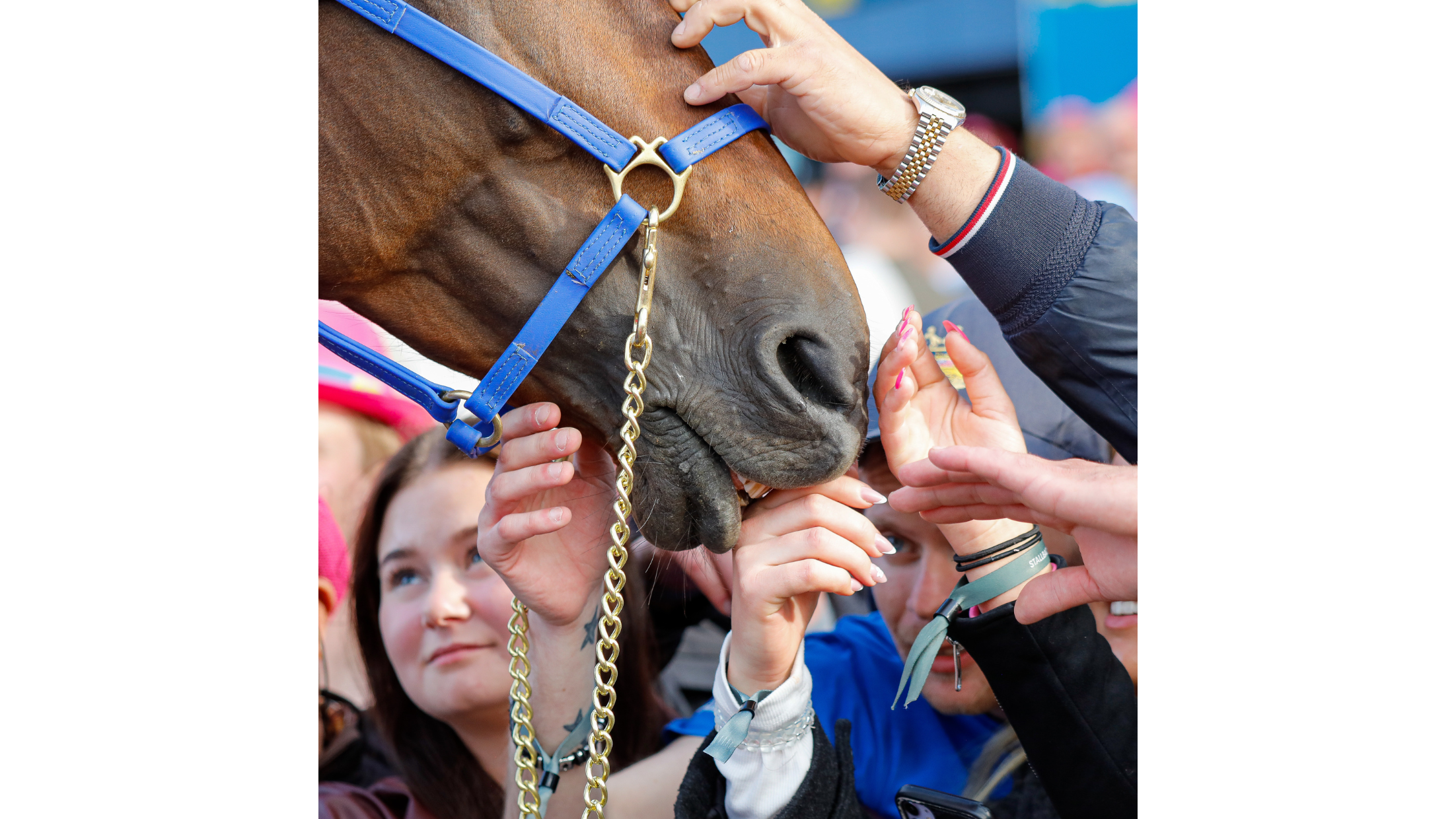 ©P.L - Province Courses