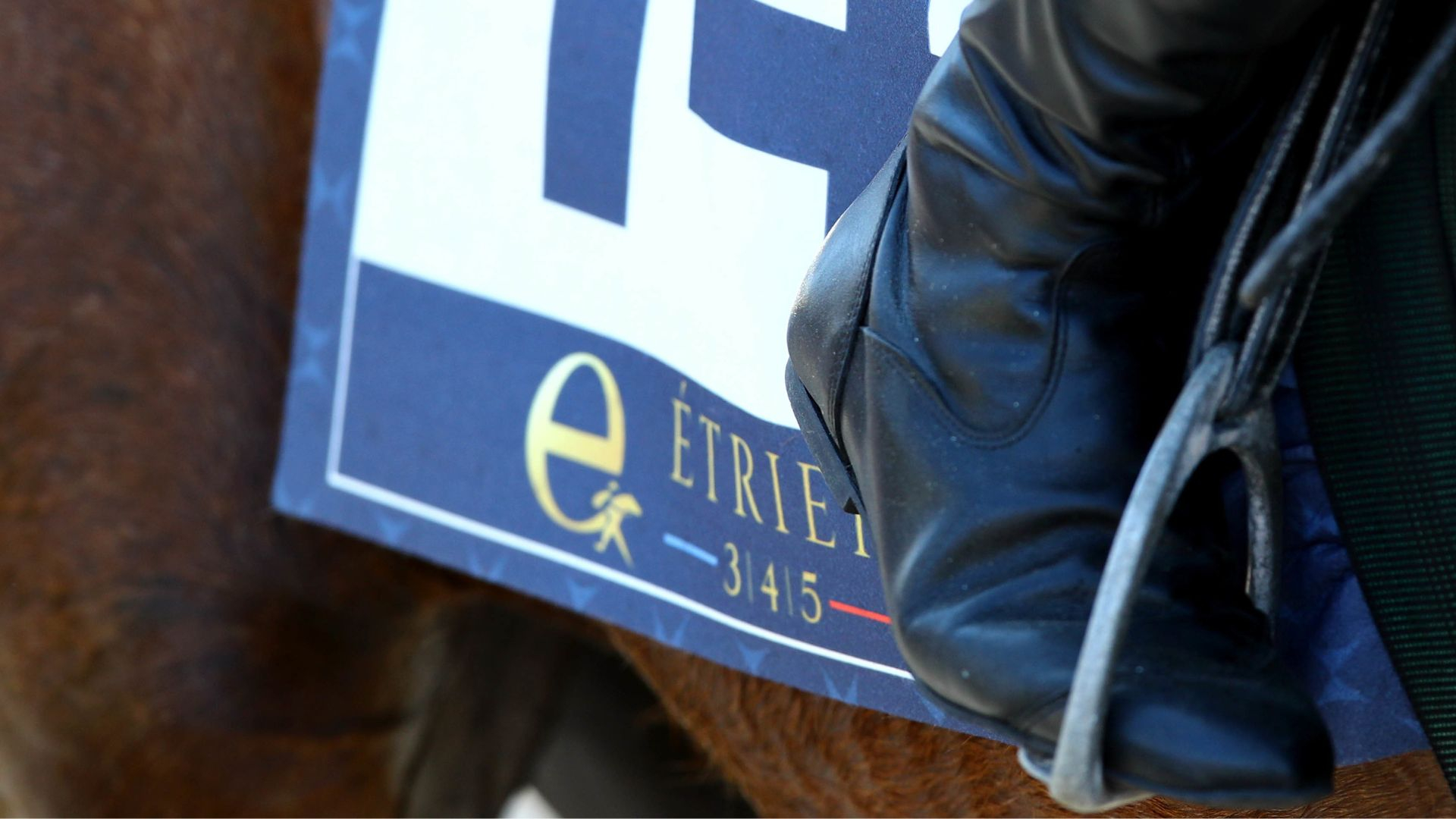 ©BrunoVandeVelde/SETF