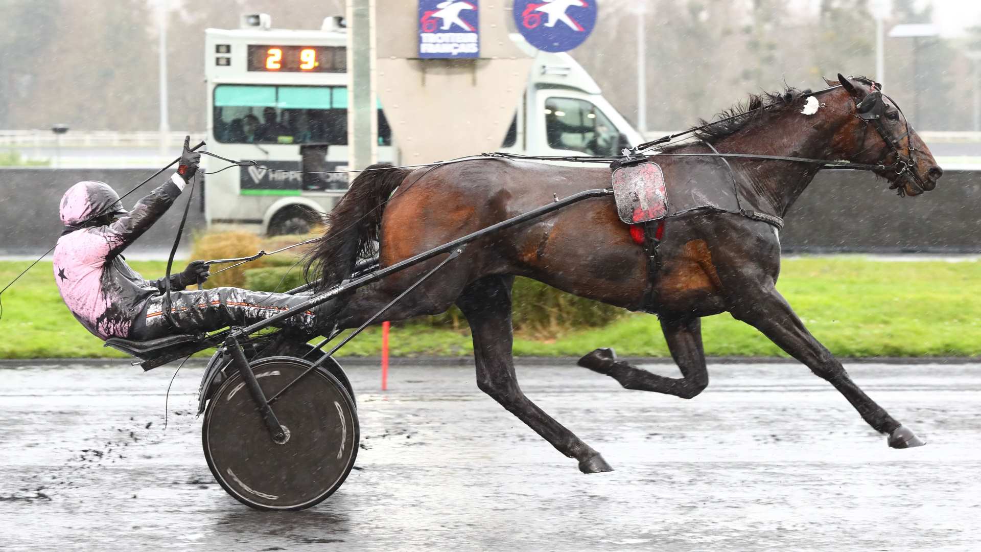 ©Scoopdyga - Executiv Ek