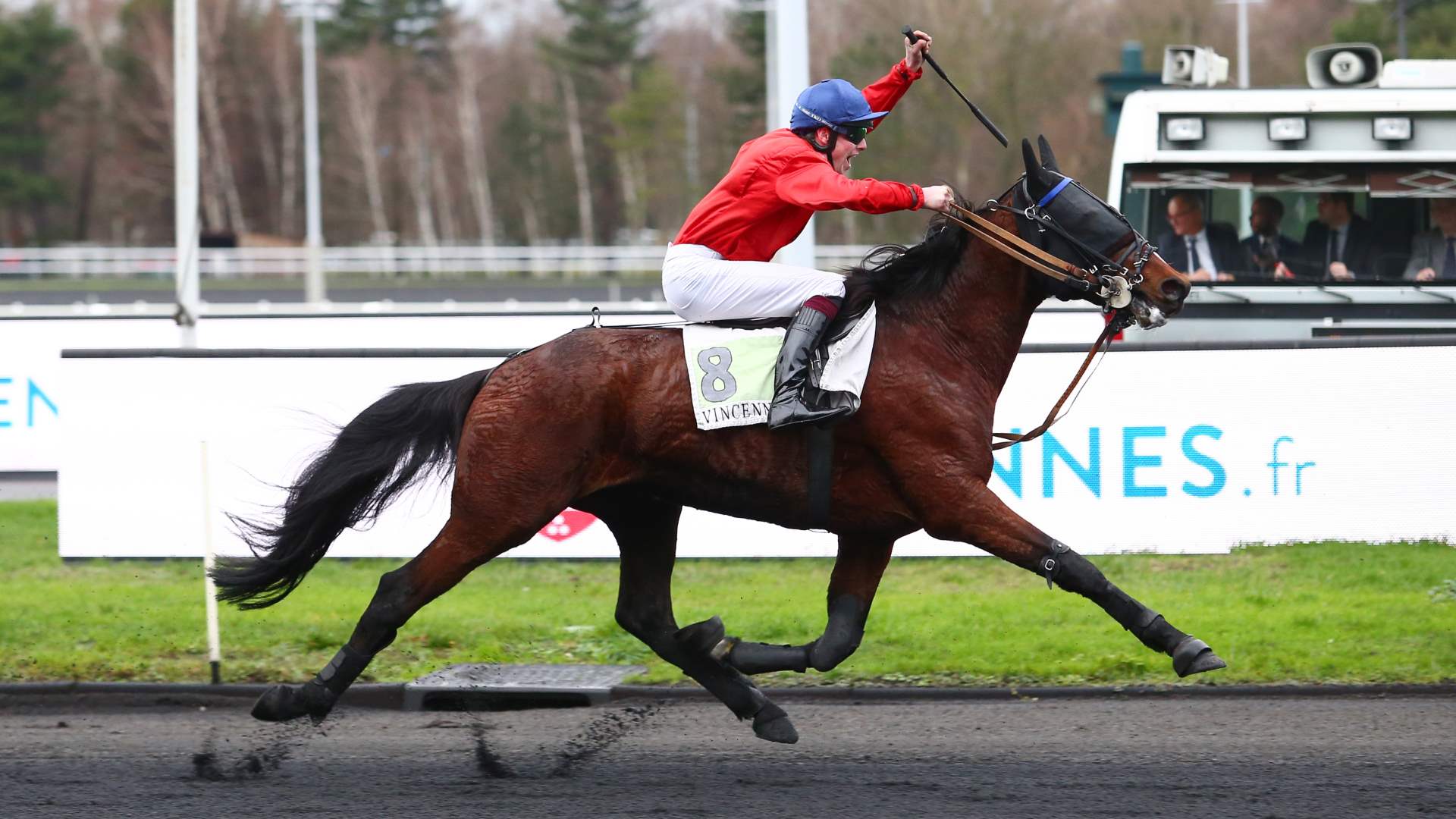 ©Scoopdyga - Fado du Chêne