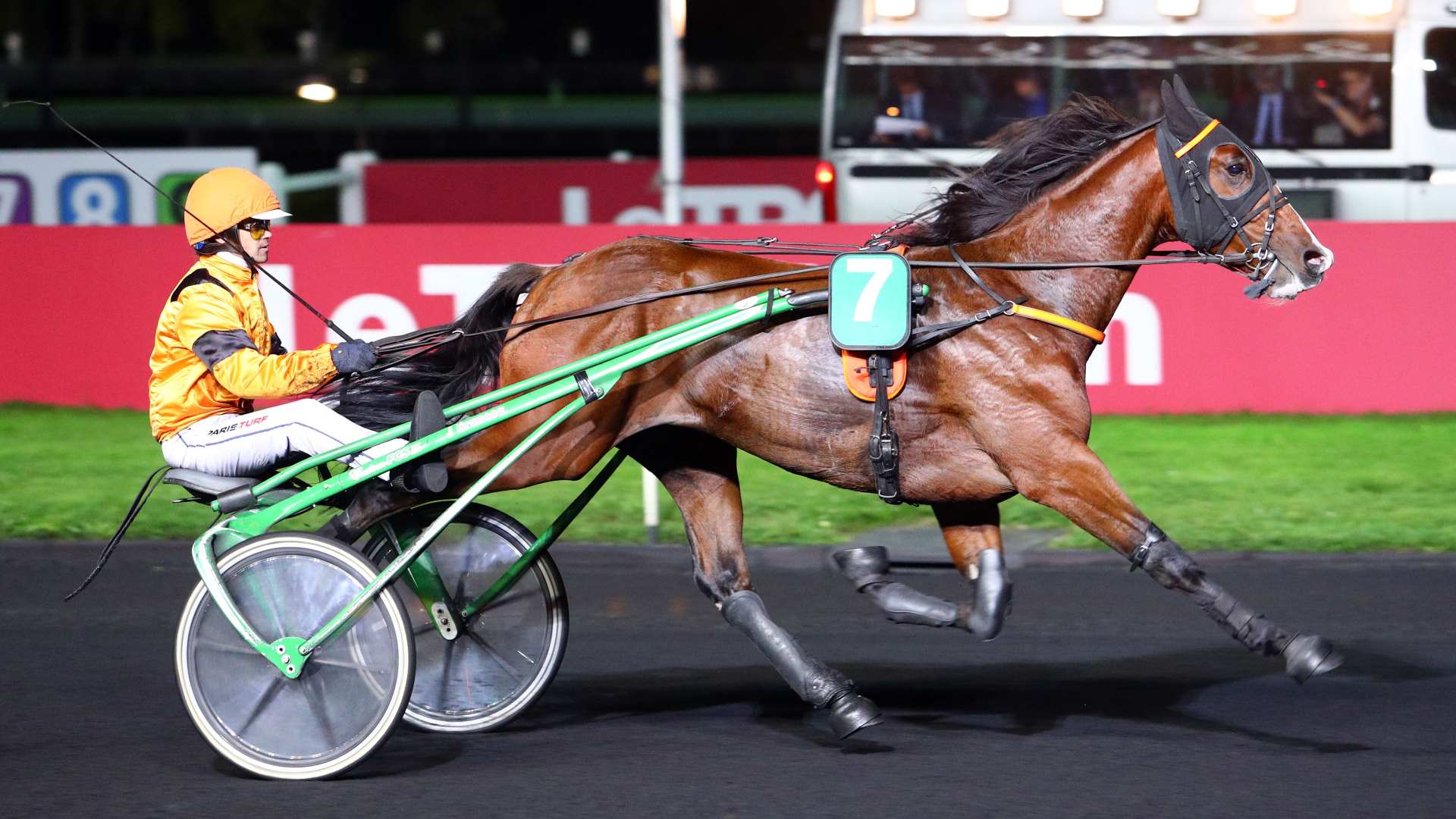 ©Scoopdyga - Fairyland