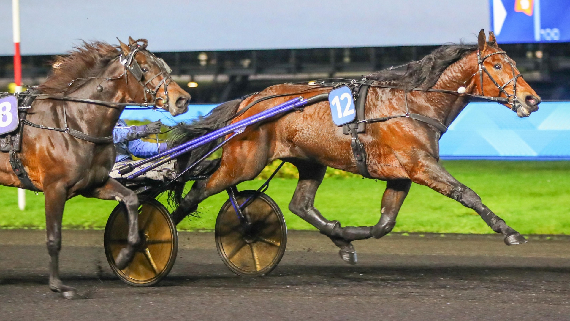 Fame And Glory - ©Scoopdyga