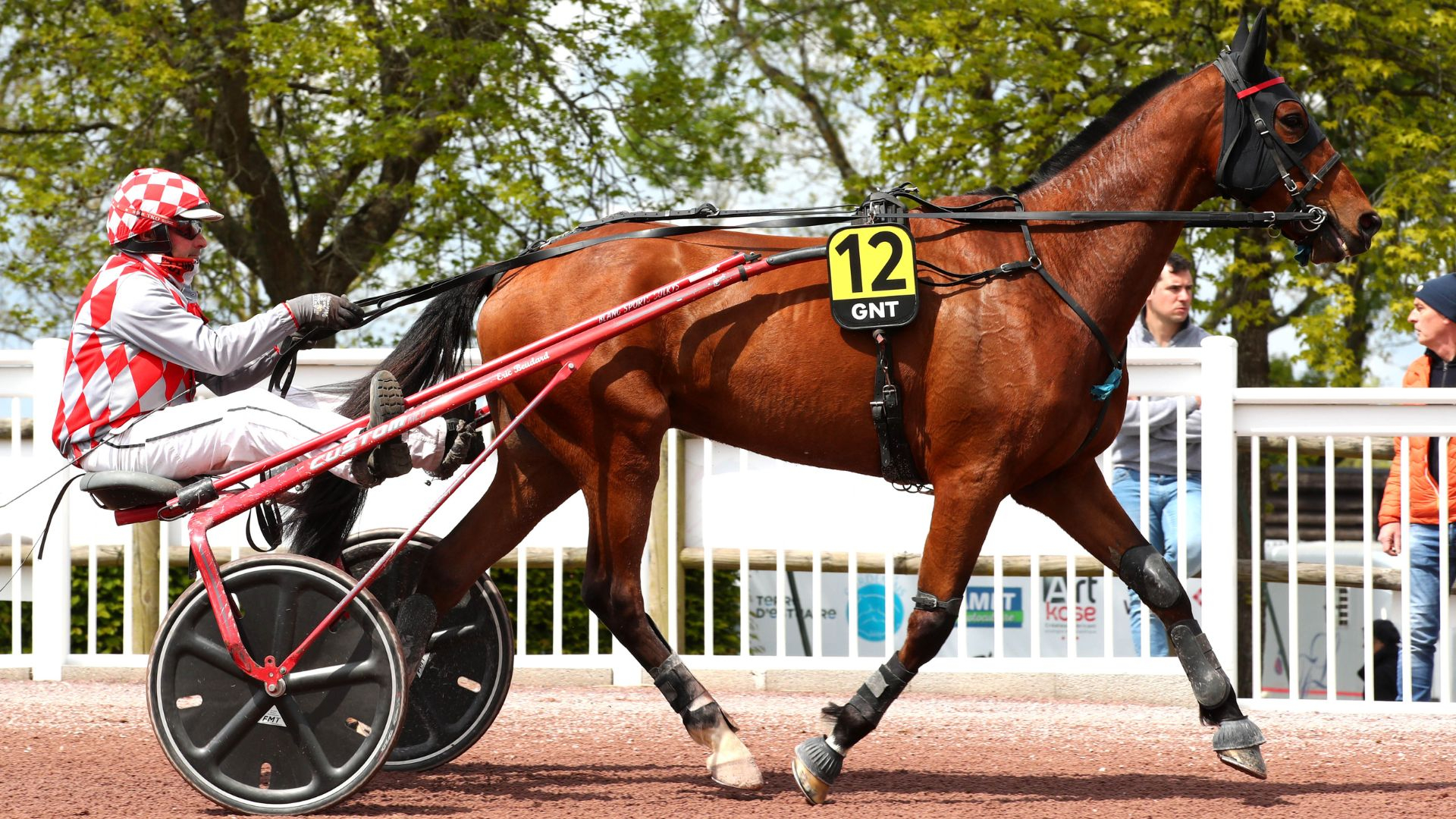 Filou d'Anjou - © ScoopDyga