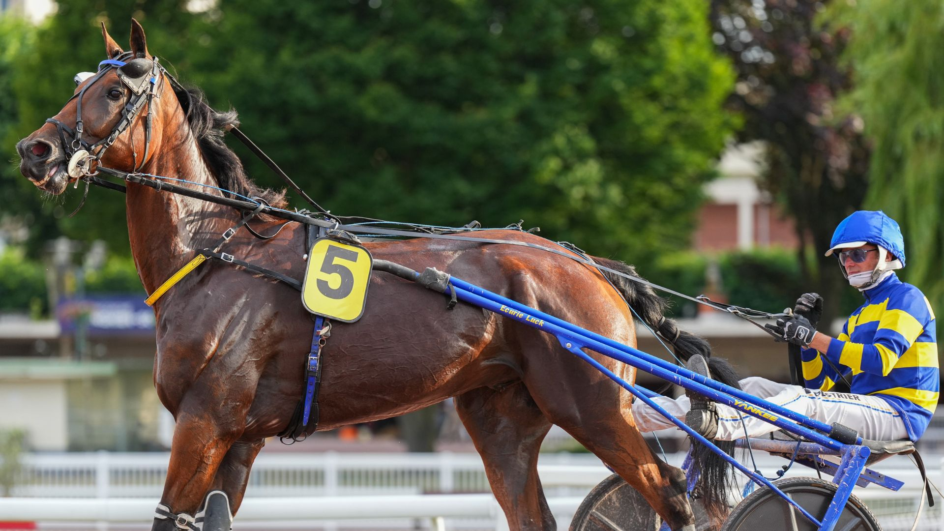 Forever Jiel - © ScoopDyga