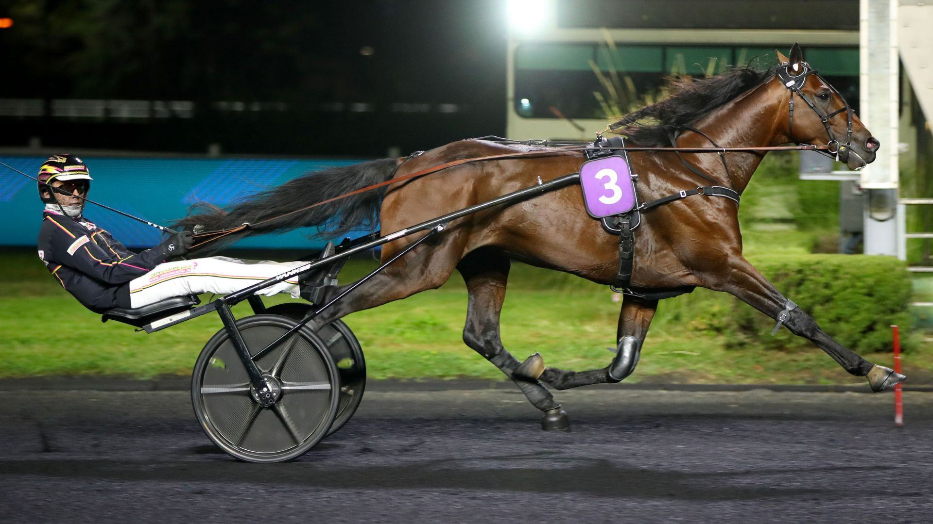 Fragolino Rosso impressionnant à Vincennes - © Aprh