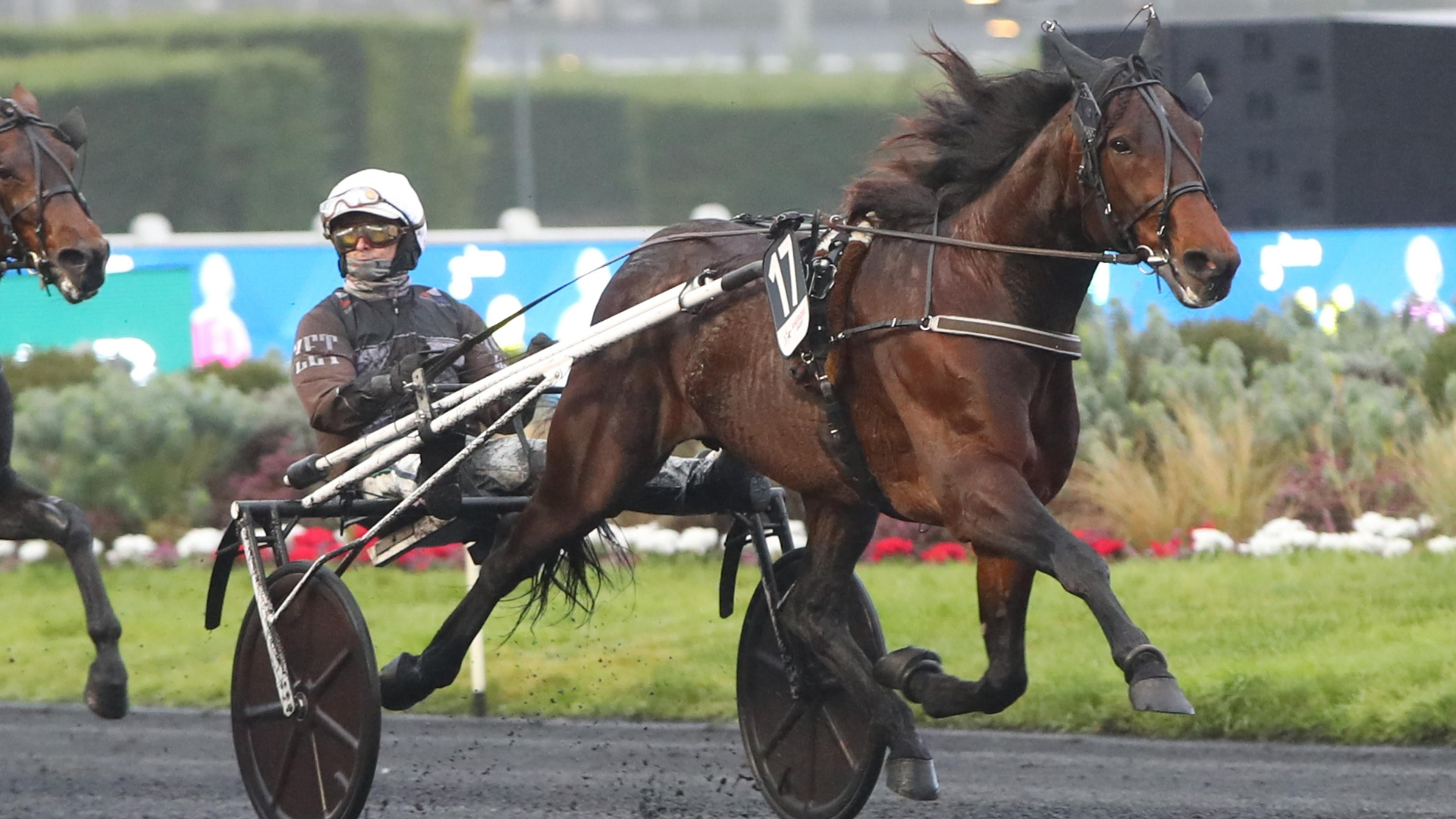 Francesco Zet - © ScoopDyga