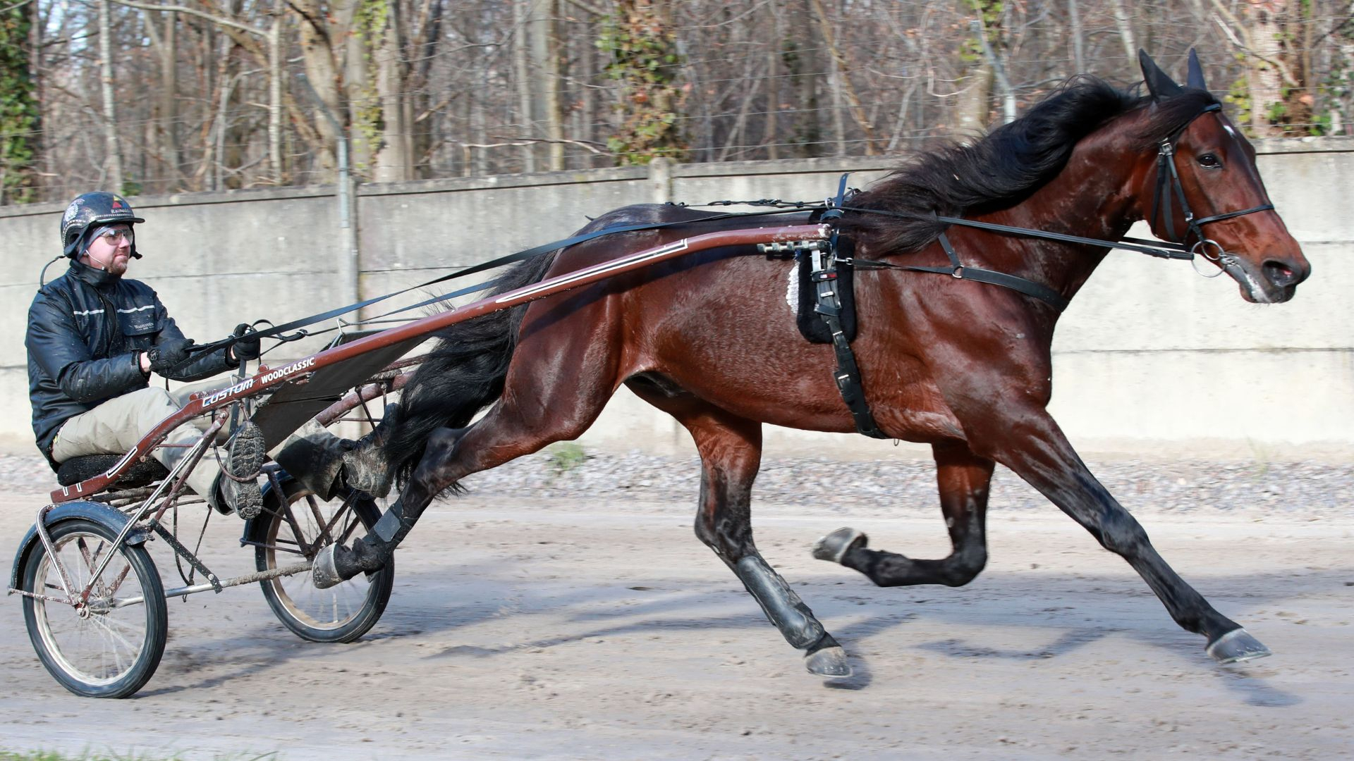 Francesco Zet durant l'hiver à Grosbois - © ScoopDyga