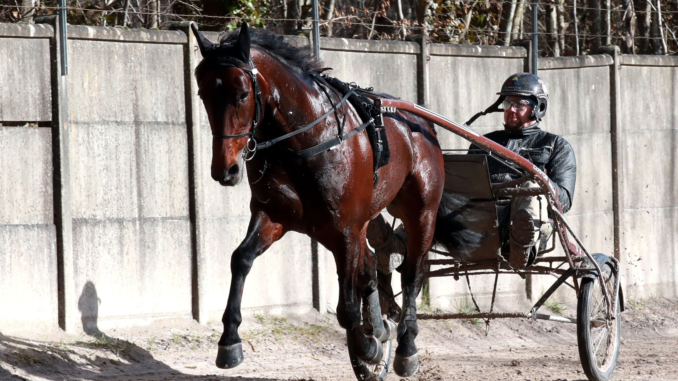 Francesco Zet à Grosbois lundi matin - © ScoopDyga