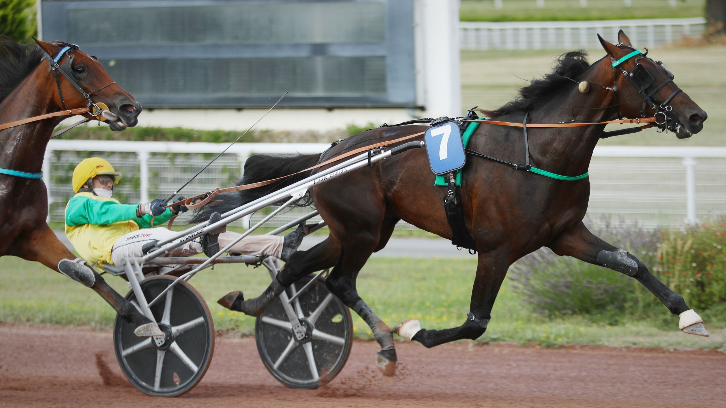 Frank Gio sera drivé par Gabriele Gelormini - © Aprh