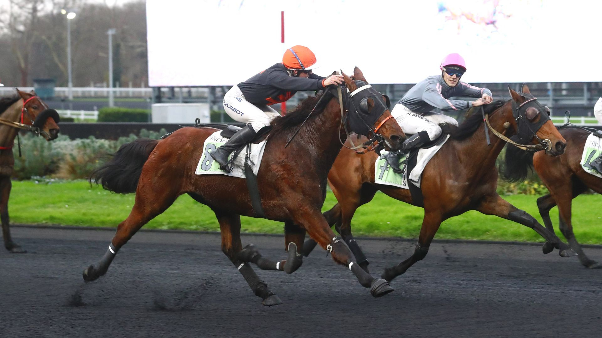 Gala d'Urfist - Halfa